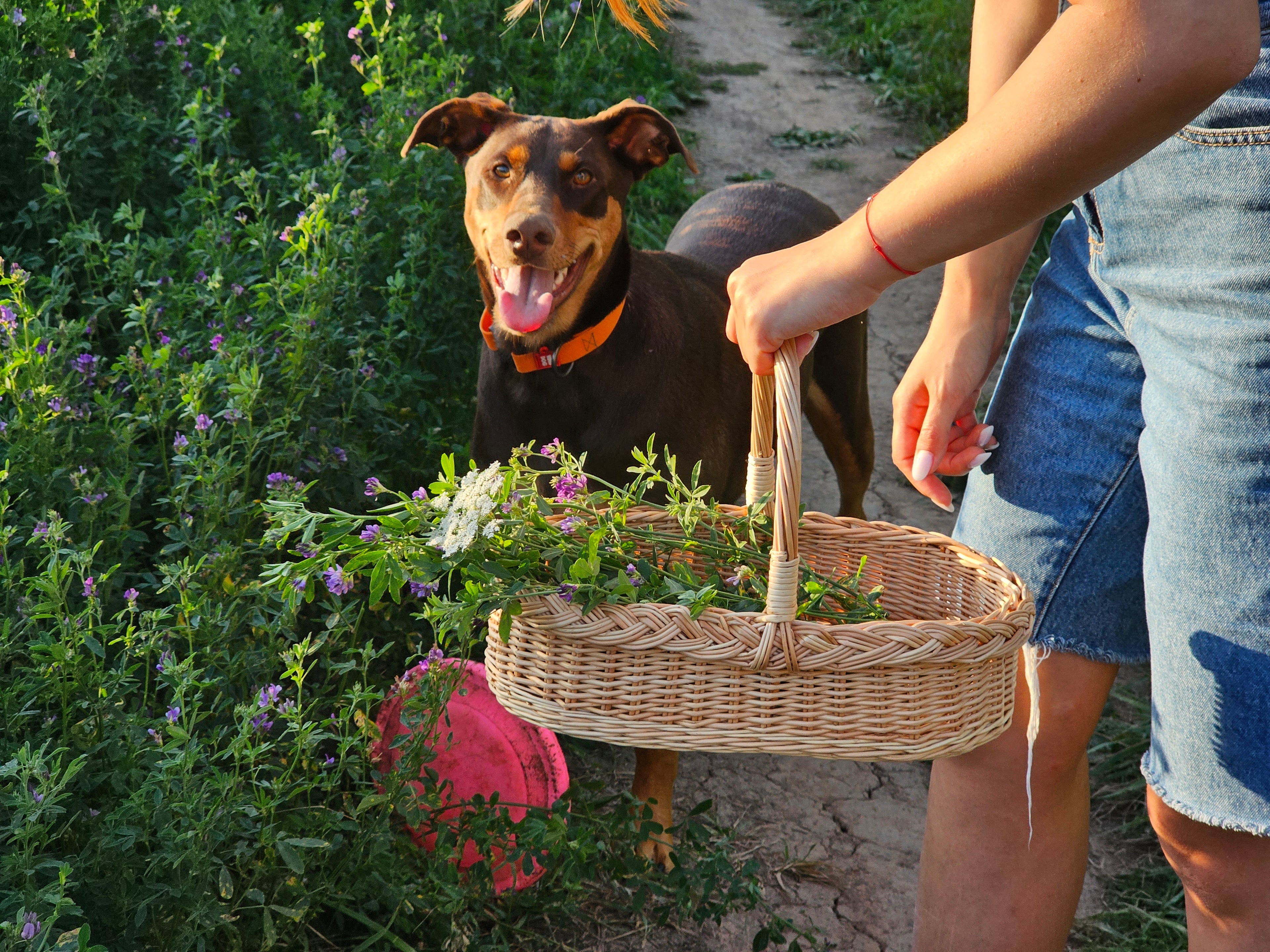 Wicker basket 002r