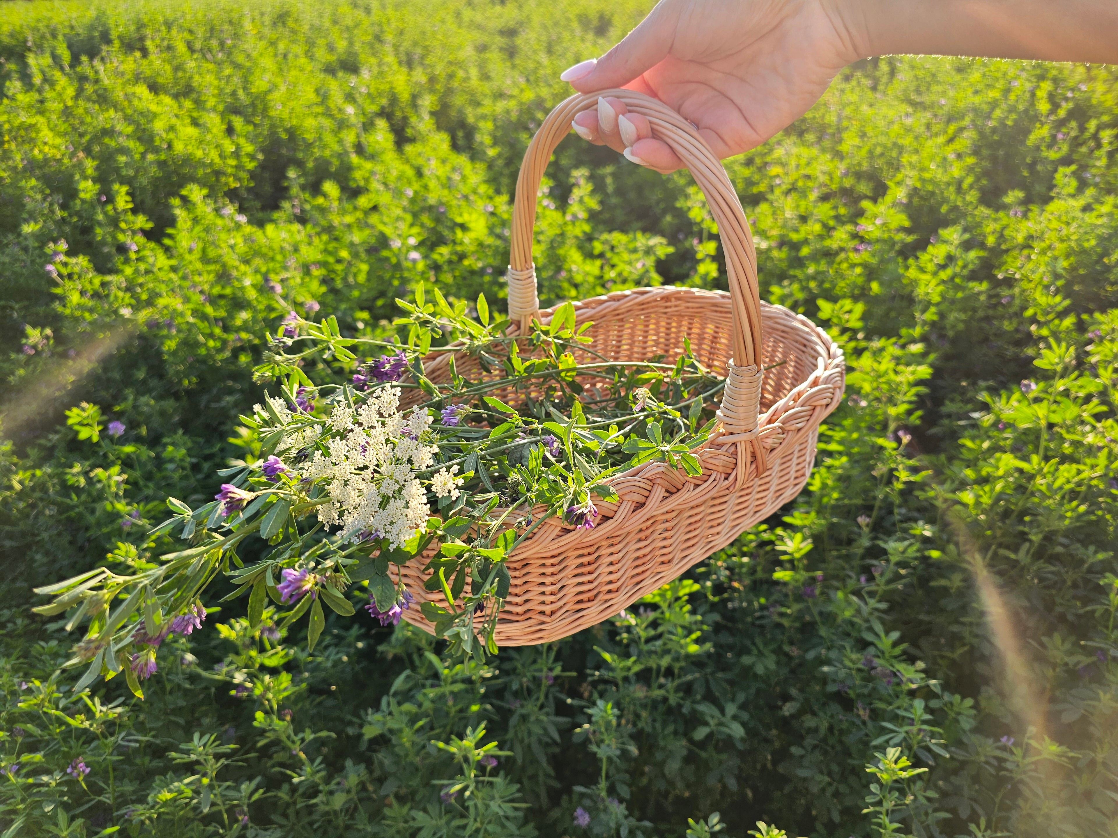 Wicker basket 002r