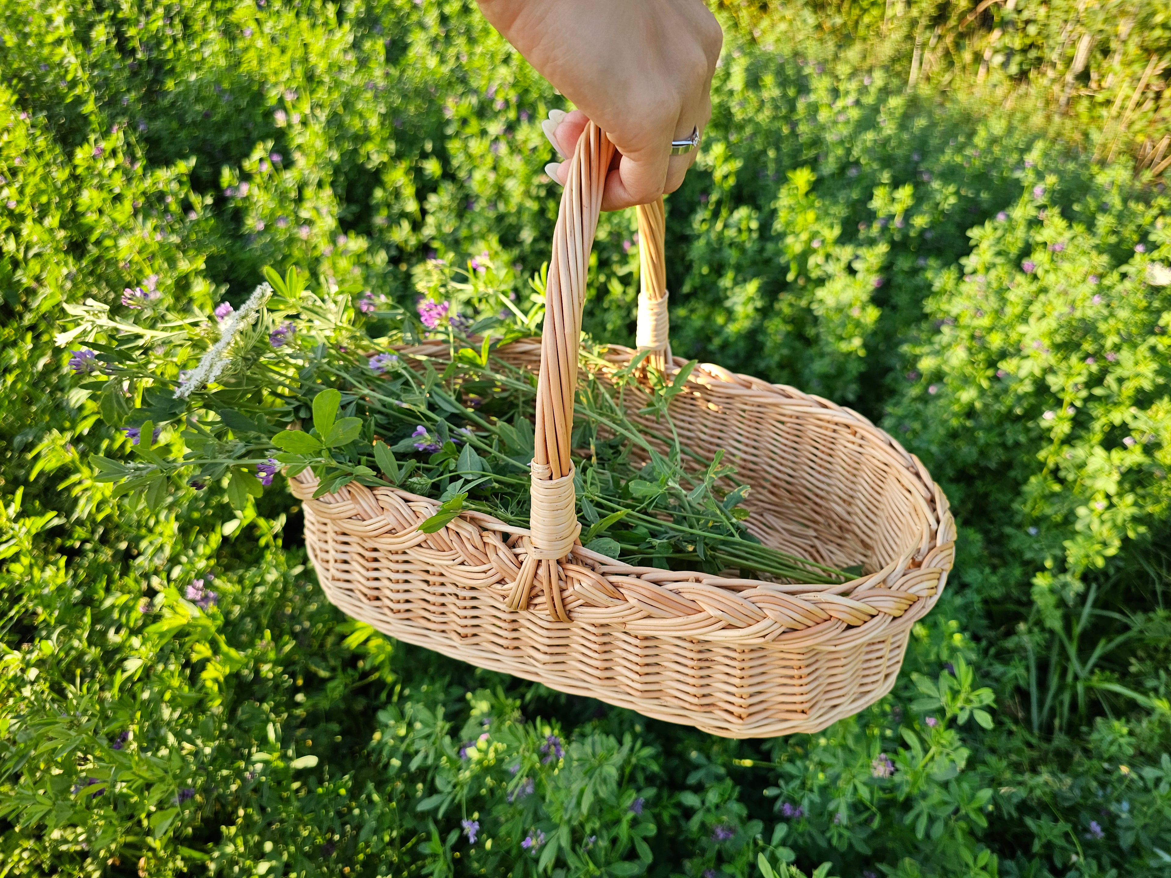 Wicker basket 002r