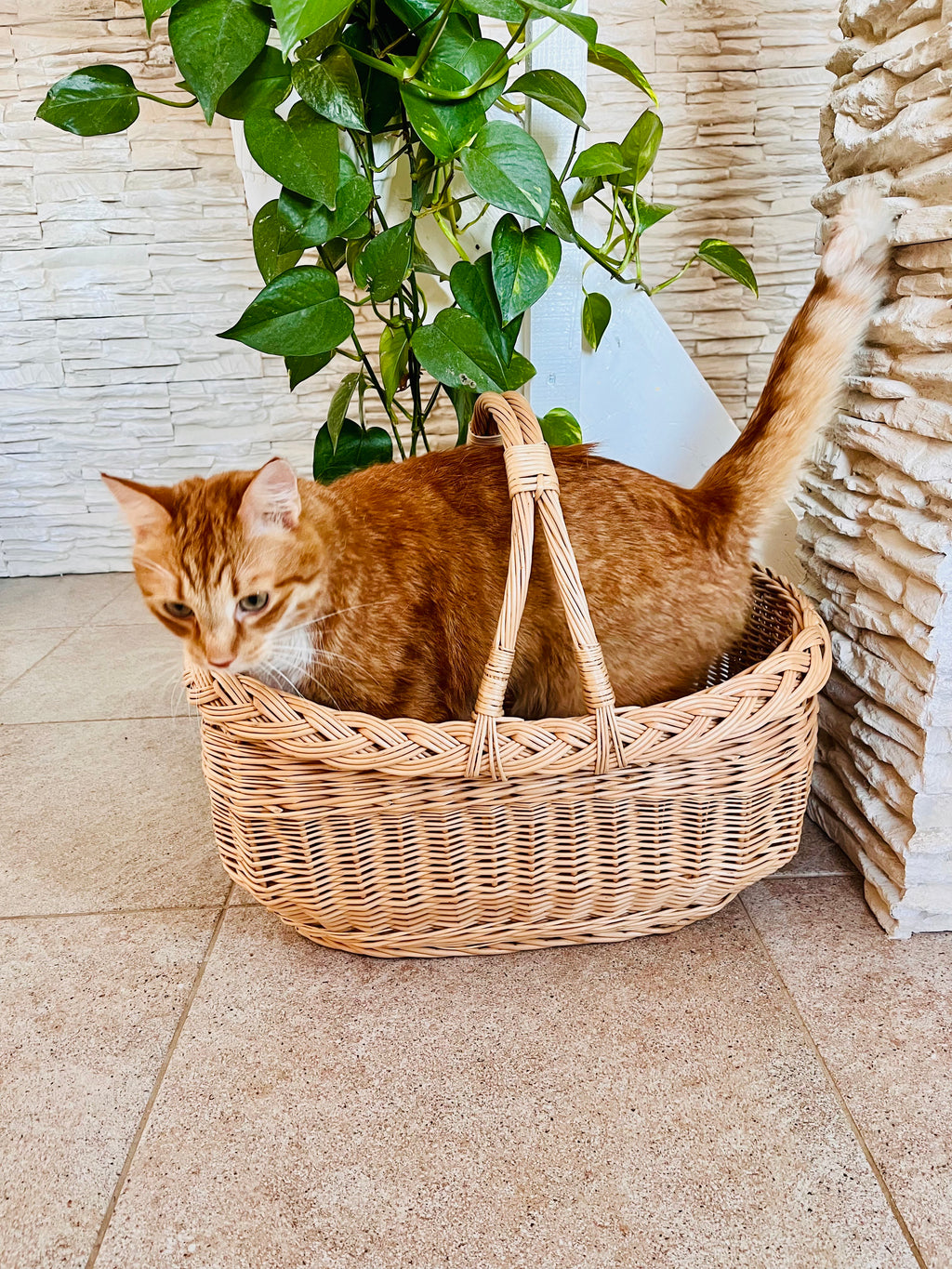 Wicker basket 016r