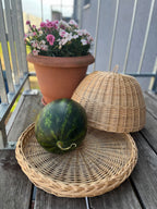 Wicker food cover 007b