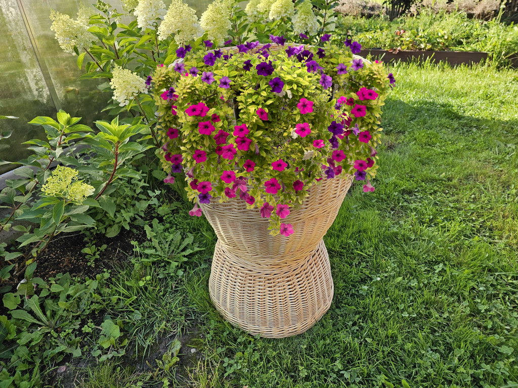 Display Basket 001r-1