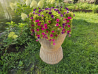 Display Basket 001r-1