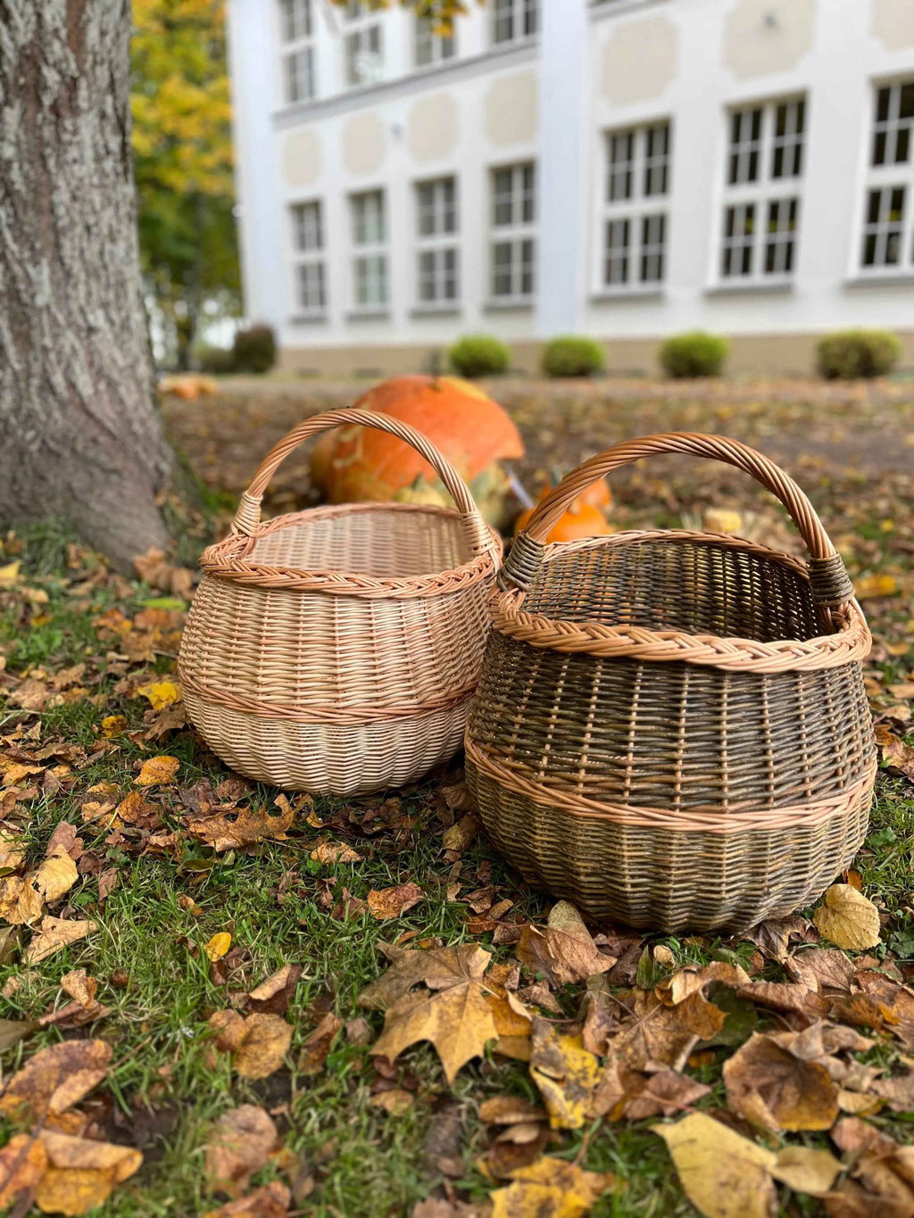 Large wicker basket 047b - NaturelyWoven wicker - handmade