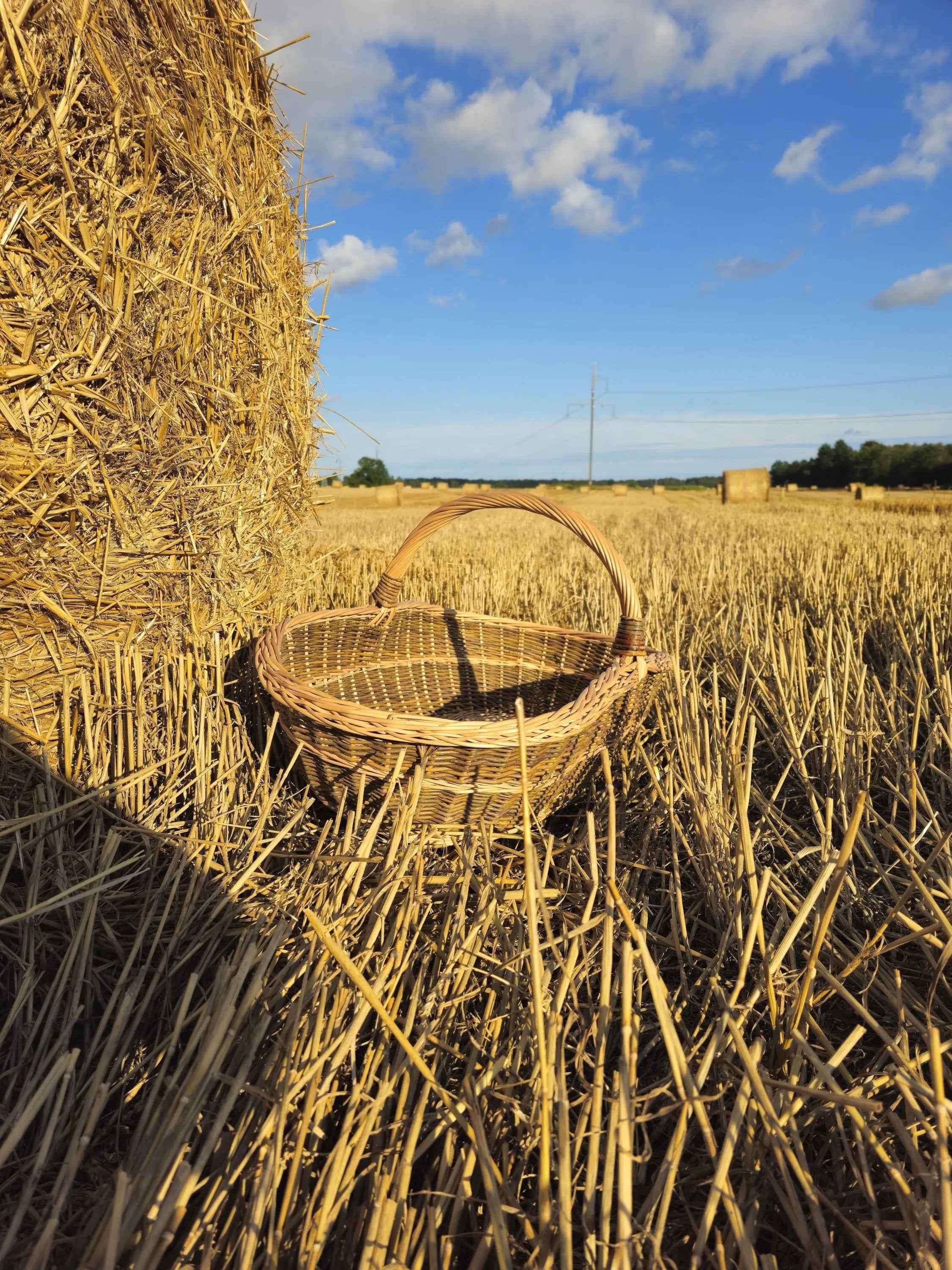 Large wicker basket 004b - NaturelyWoven wicker - handmade