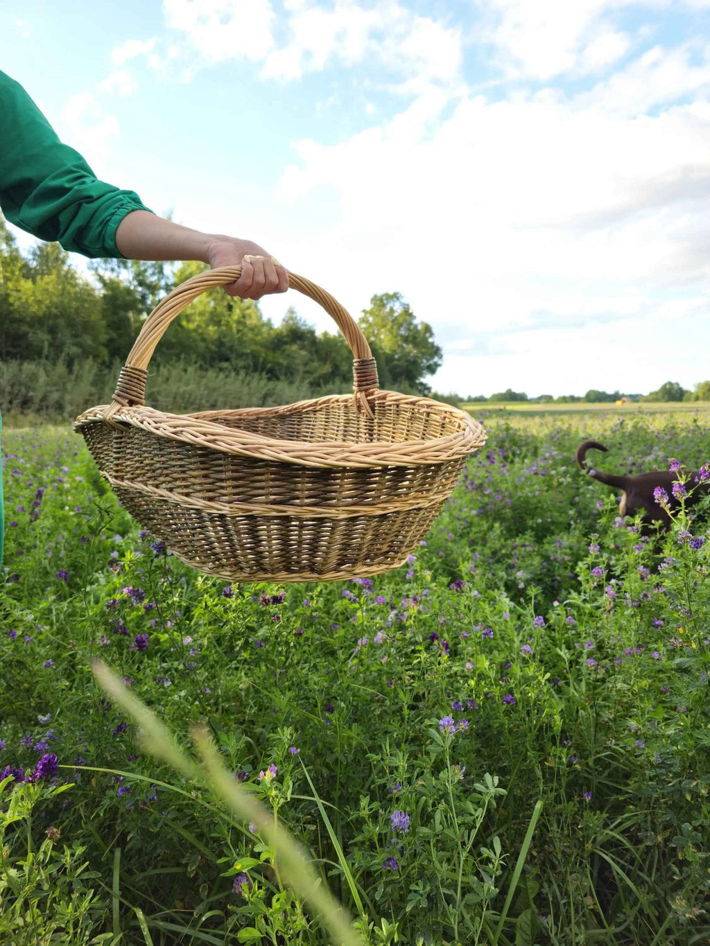 Large wicker basket 004b - NaturelyWoven wicker - handmade