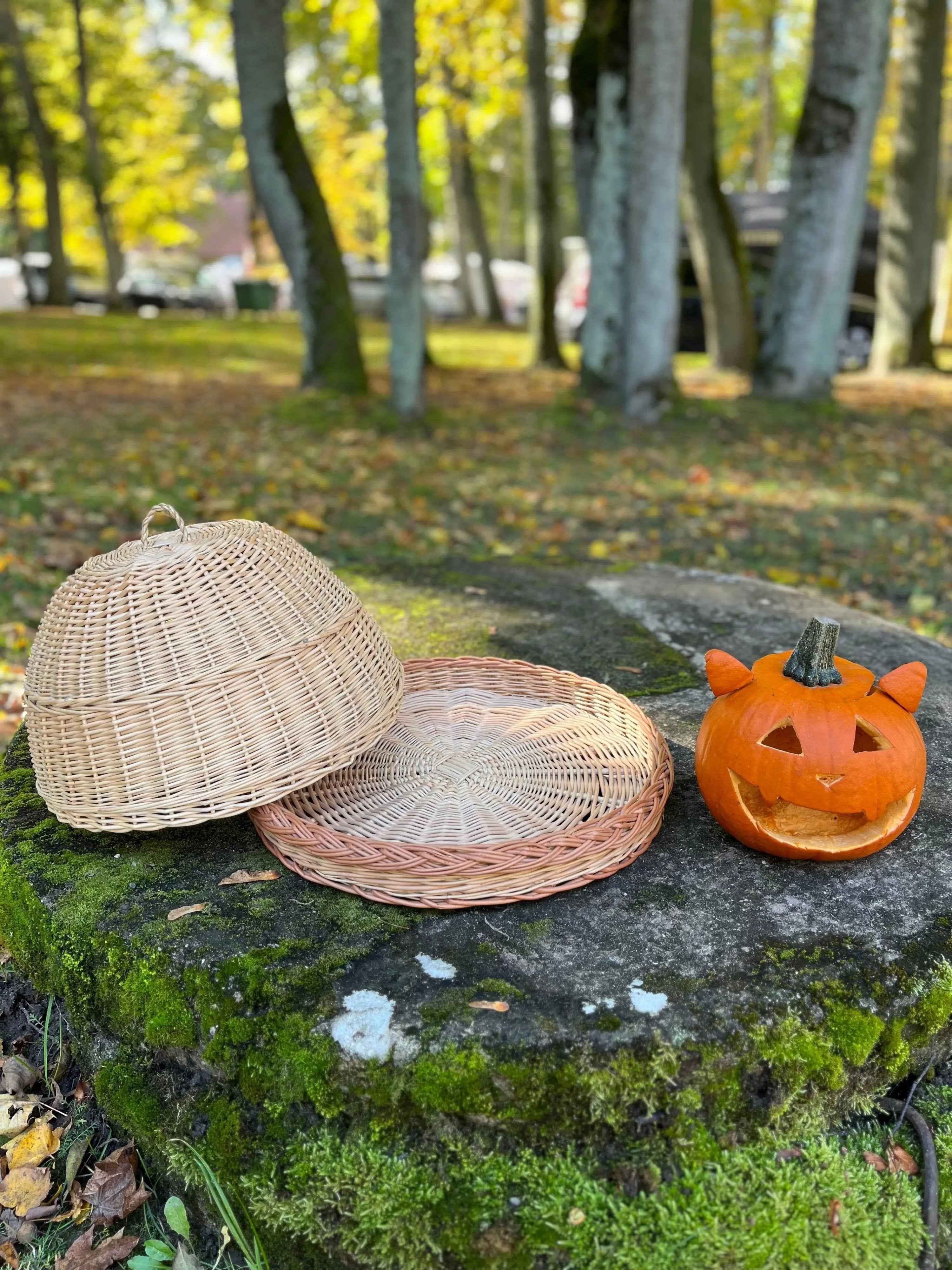 Wicker food cover 007b - NaturelyWoven wicker - handmade