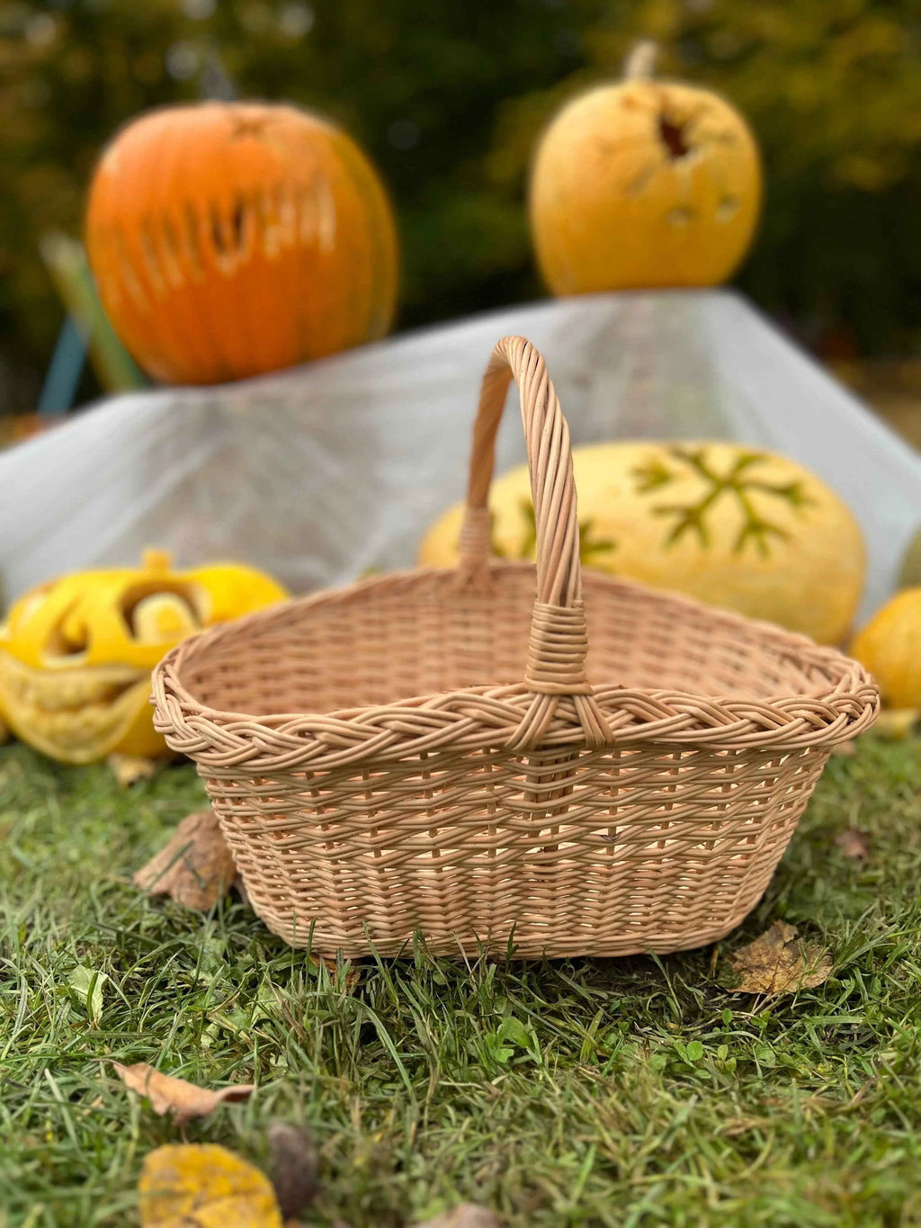 Wicker basket 020b - NaturelyWoven wicker - handmade