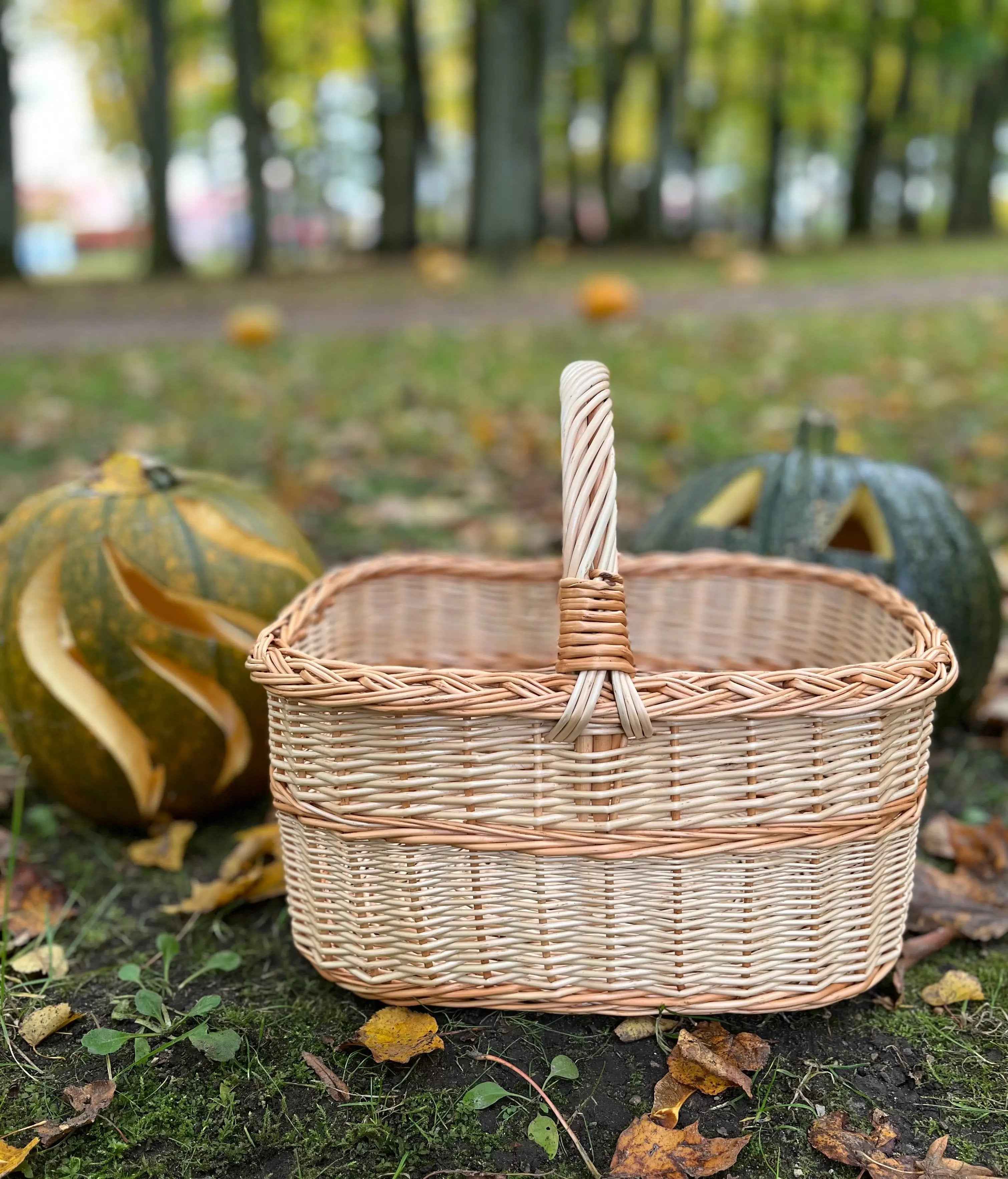 Willow basket 005b - NaturelyWoven wicker - handmade