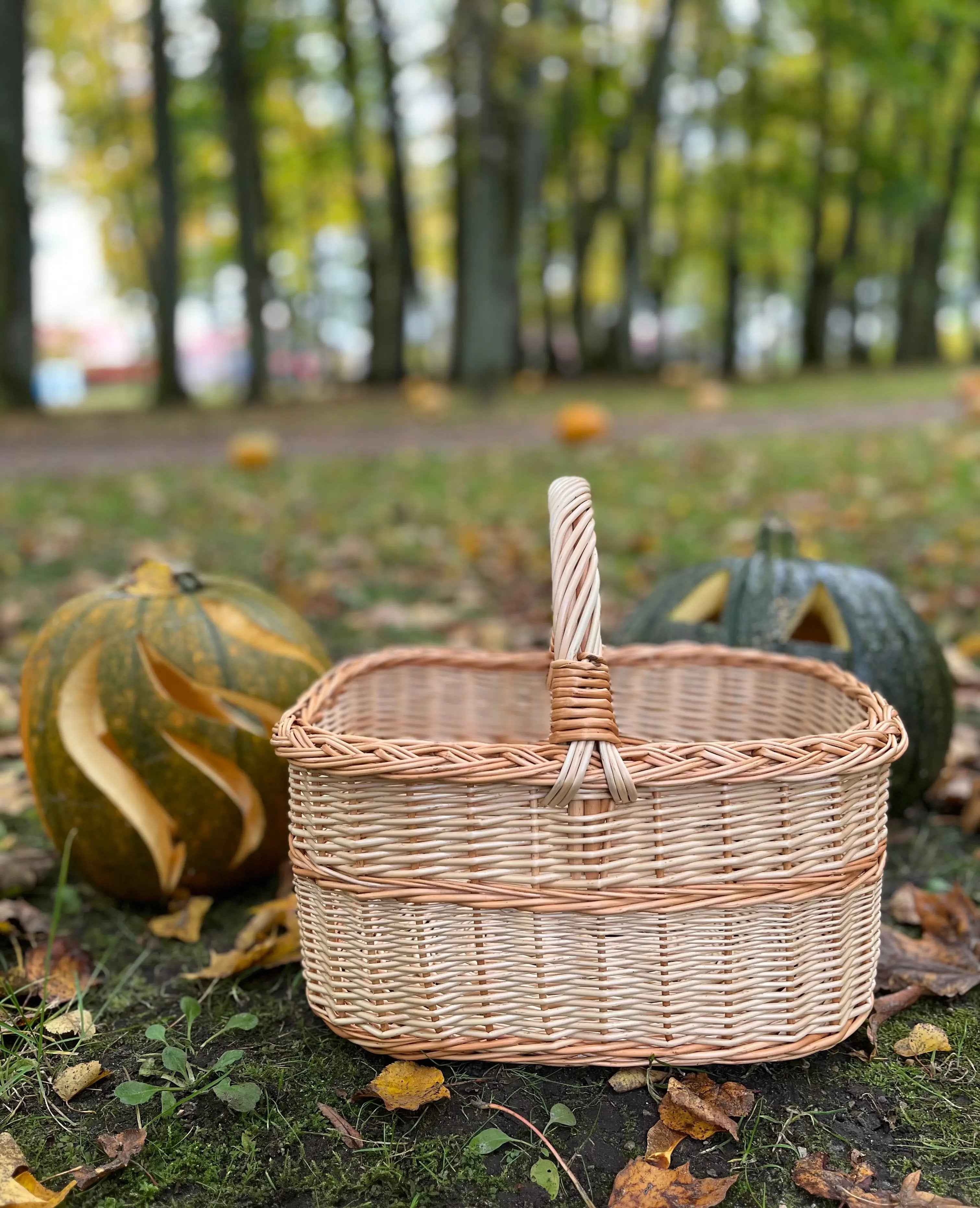 Willow basket 005b - NaturelyWoven wicker - handmade