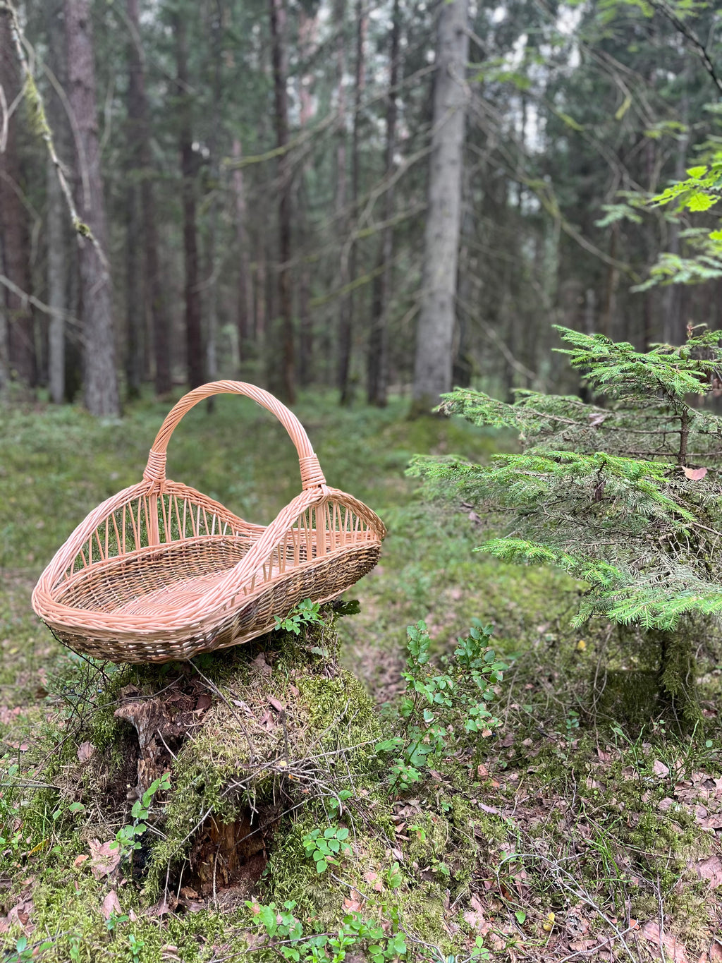 Decorative Wicker Garden Trug 027b-6