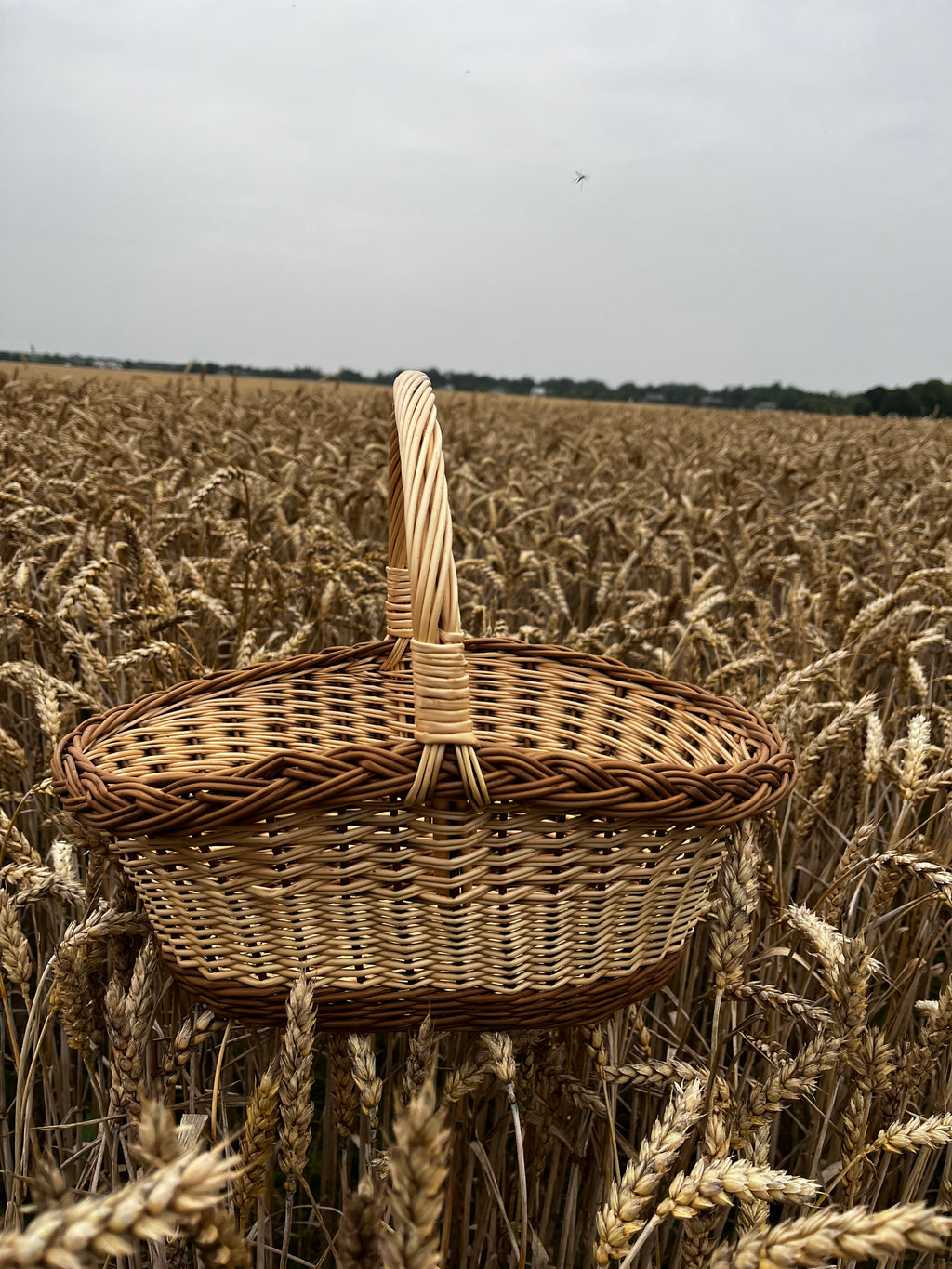 Wicker basket 020b