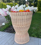 Display Basket 001r-1