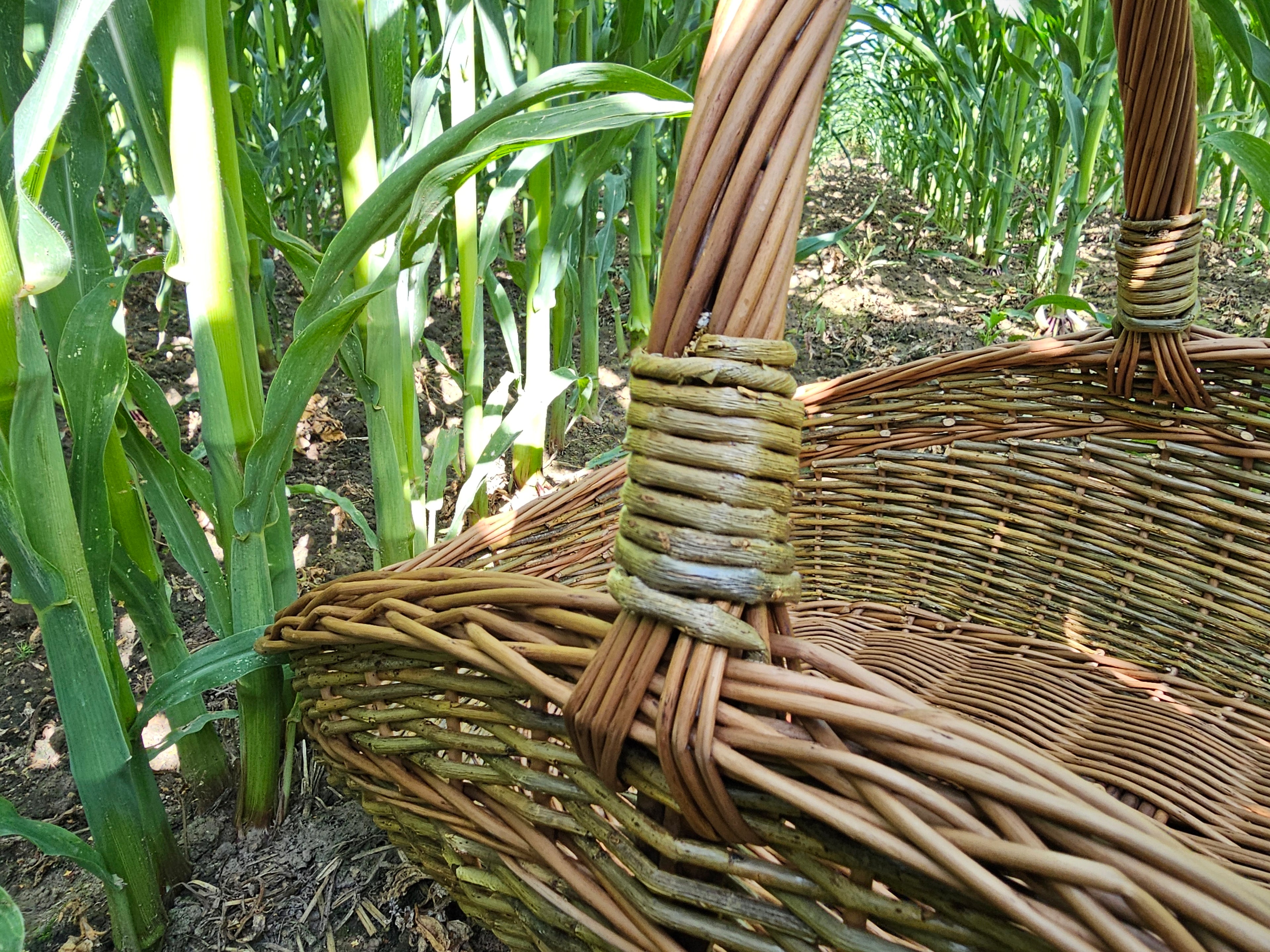 Unpeeled Willow Garden Trug — wicker basket, view 2