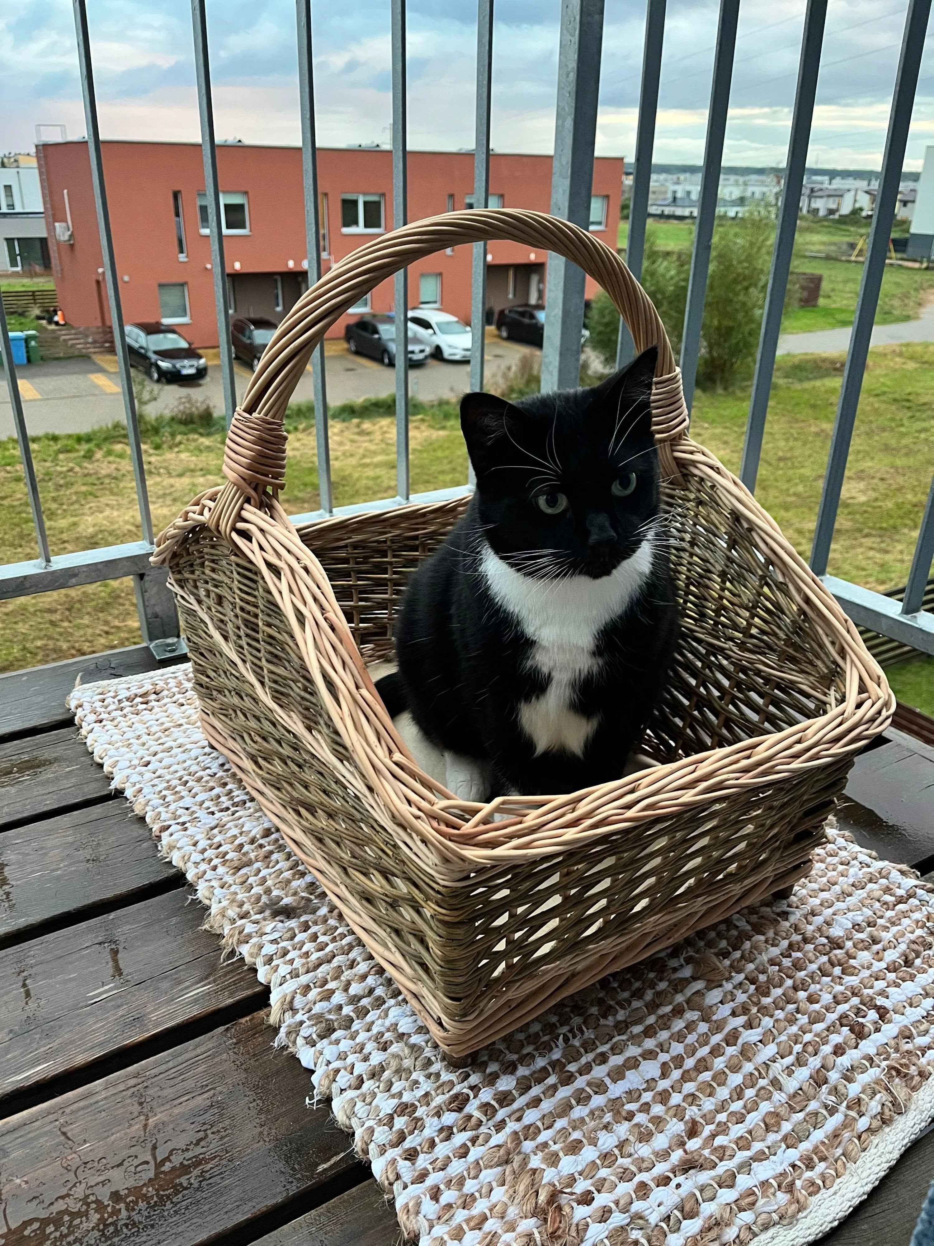 Large Wicker Firewood Basket — handmade firewood basket from Lithuanian willow