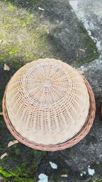 Wicker food cover 007b