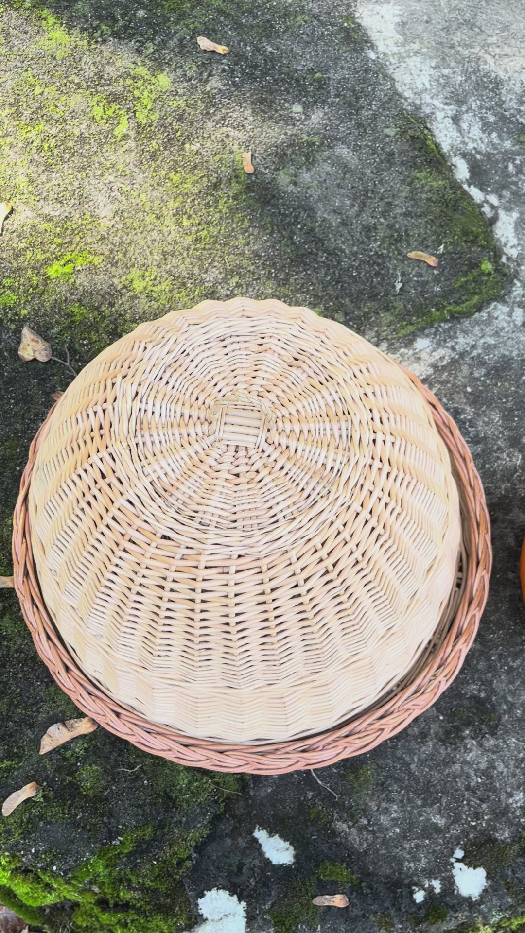 Wicker food cover 007b