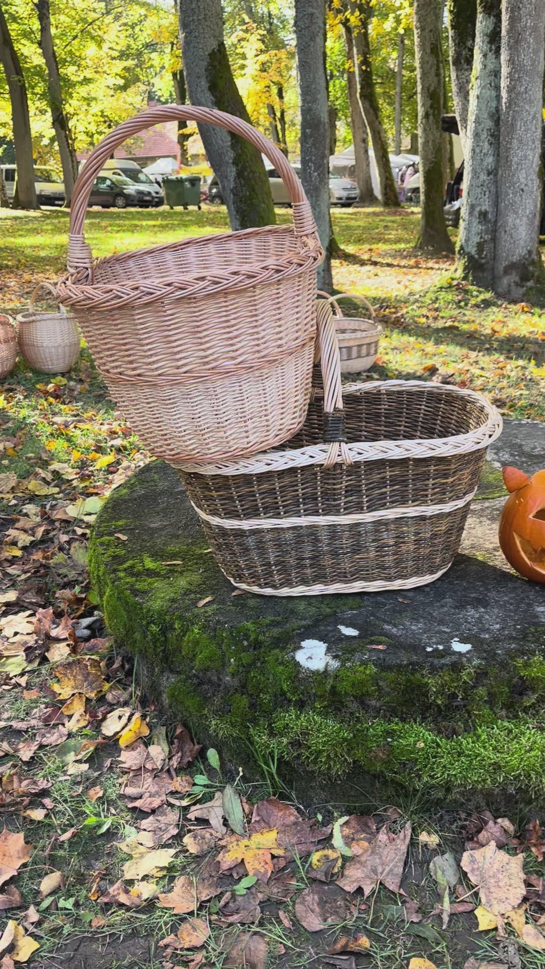 Wicker basket 040b