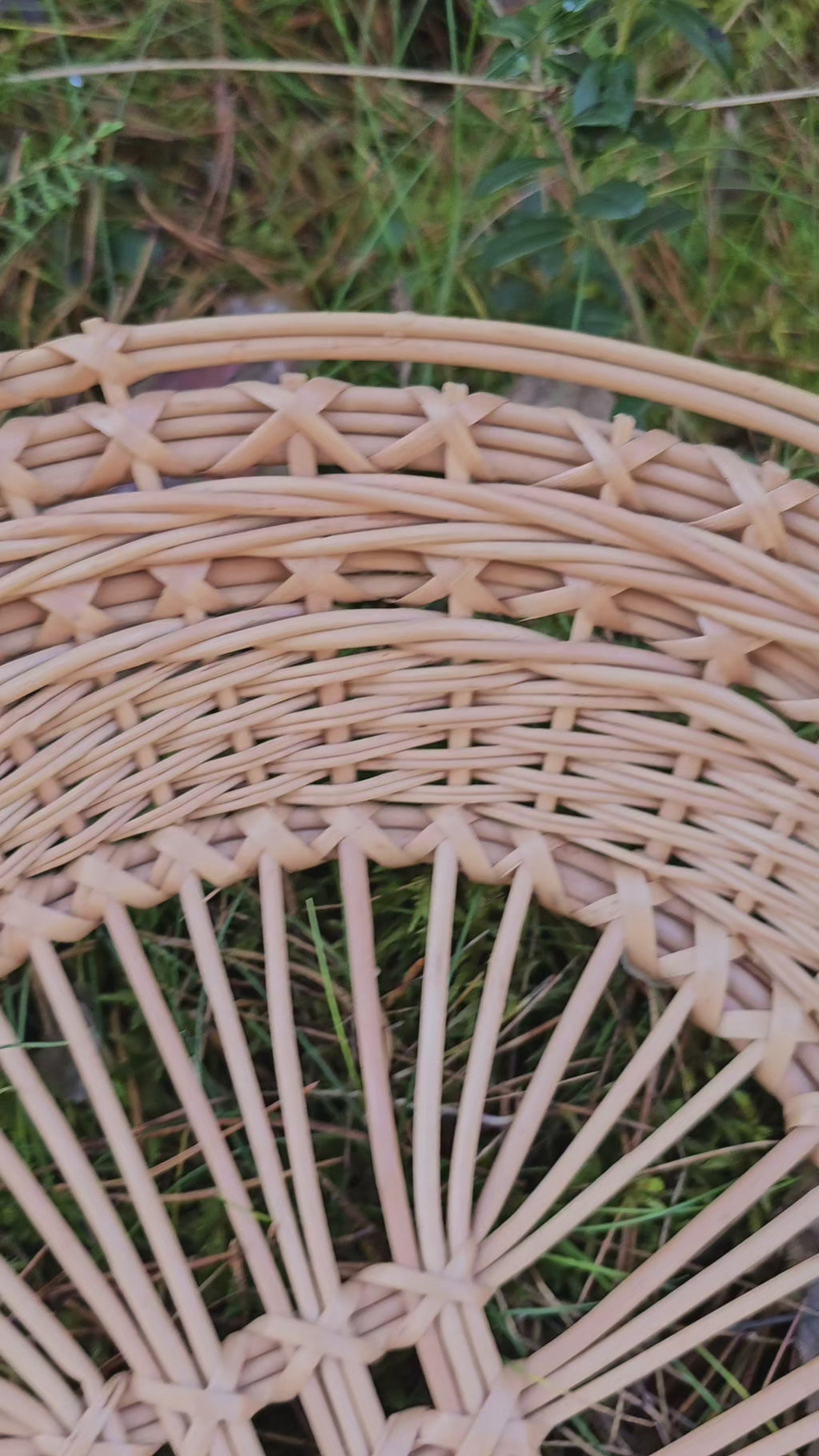 Wicker tray 038r