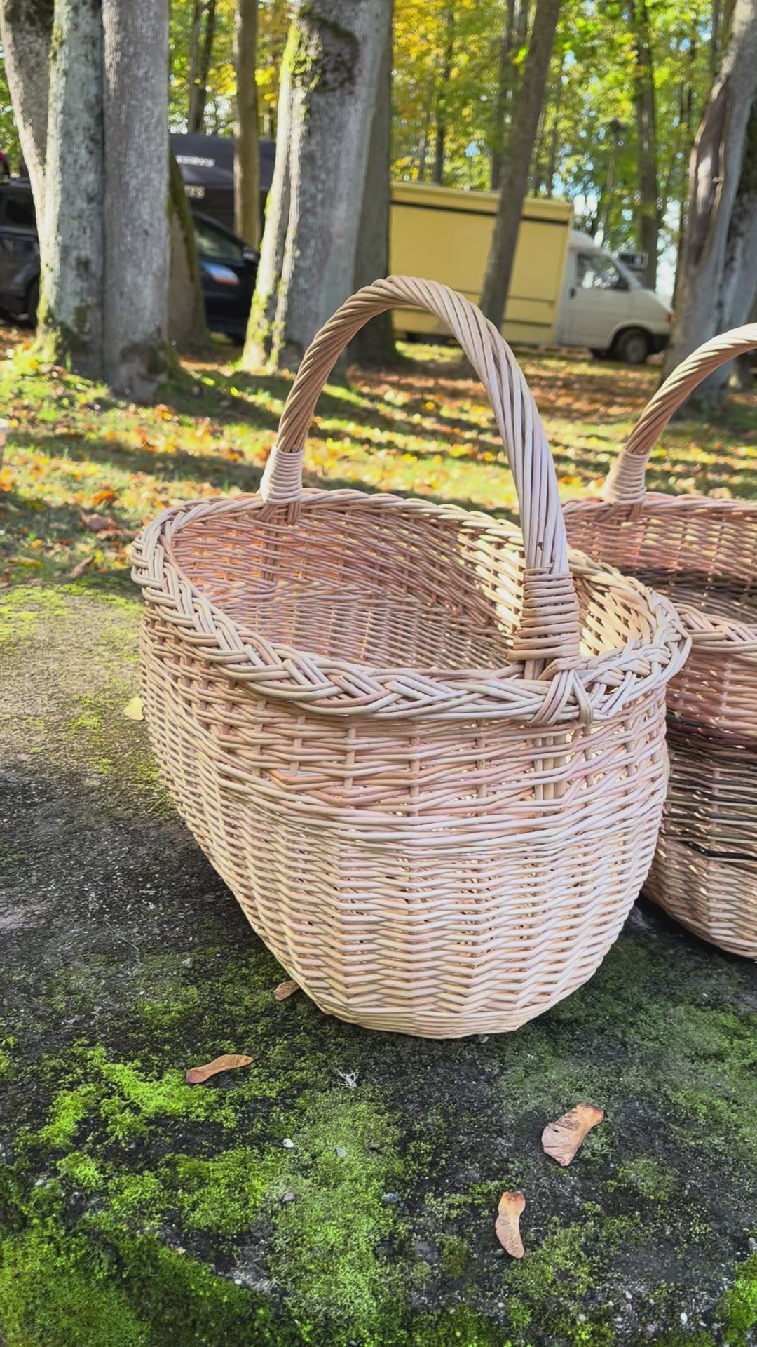Wicker basket 028b