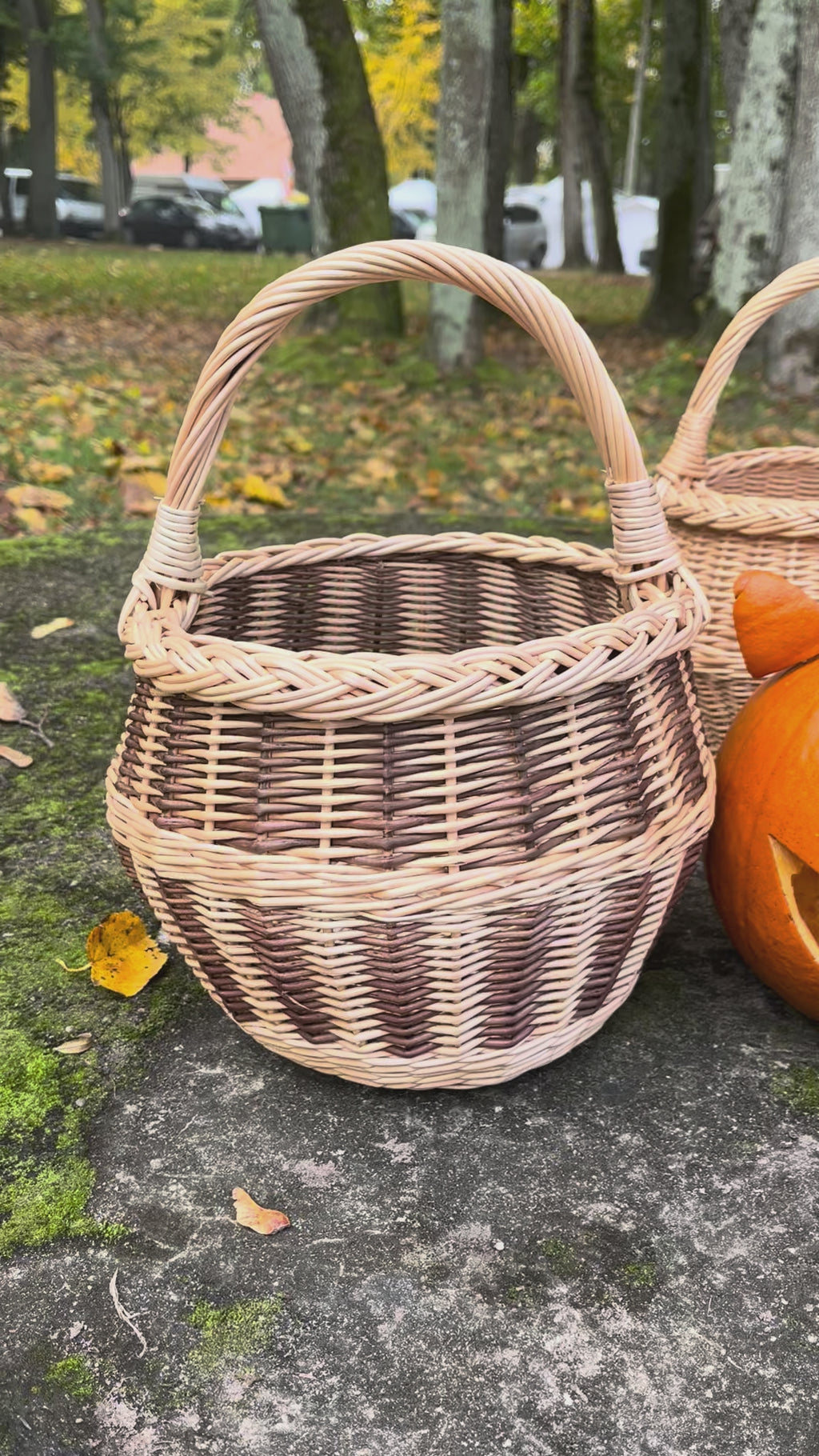 Small wicker basket 021b