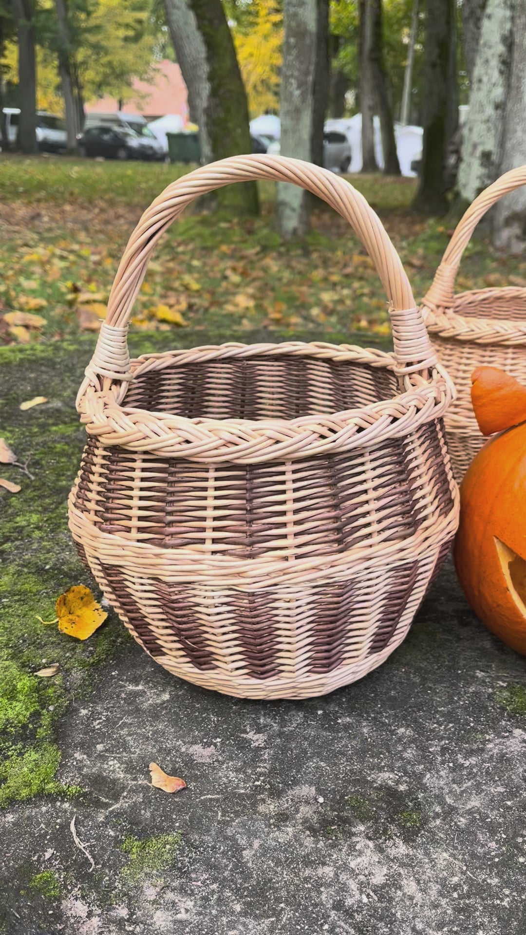 Small wicker basket 021b