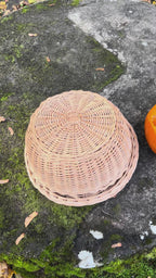 Wicker food cover 017b