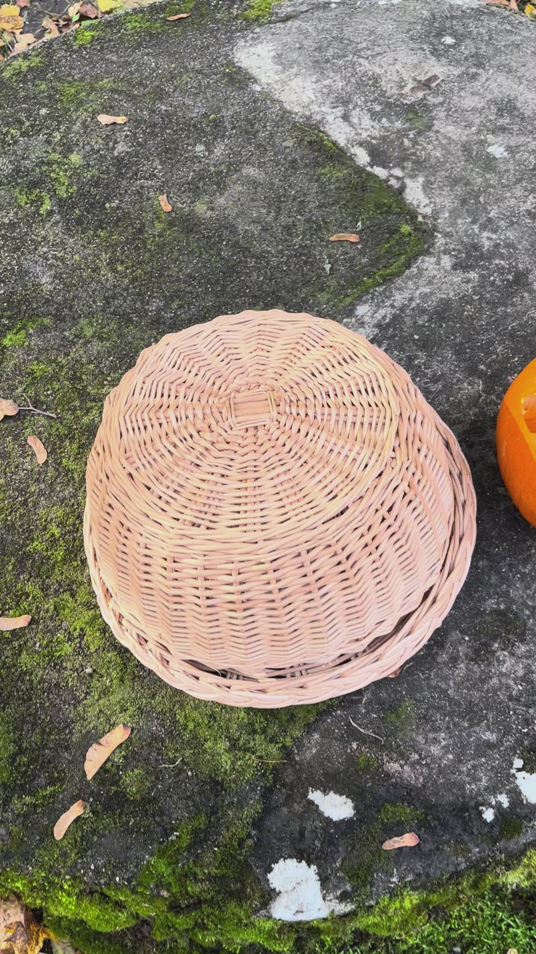 Wicker food cover 017b