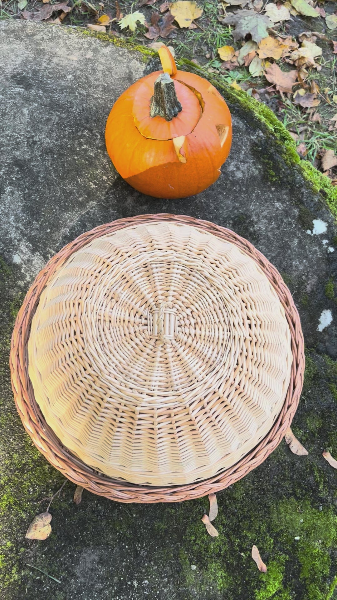 Wicker food cover 007b