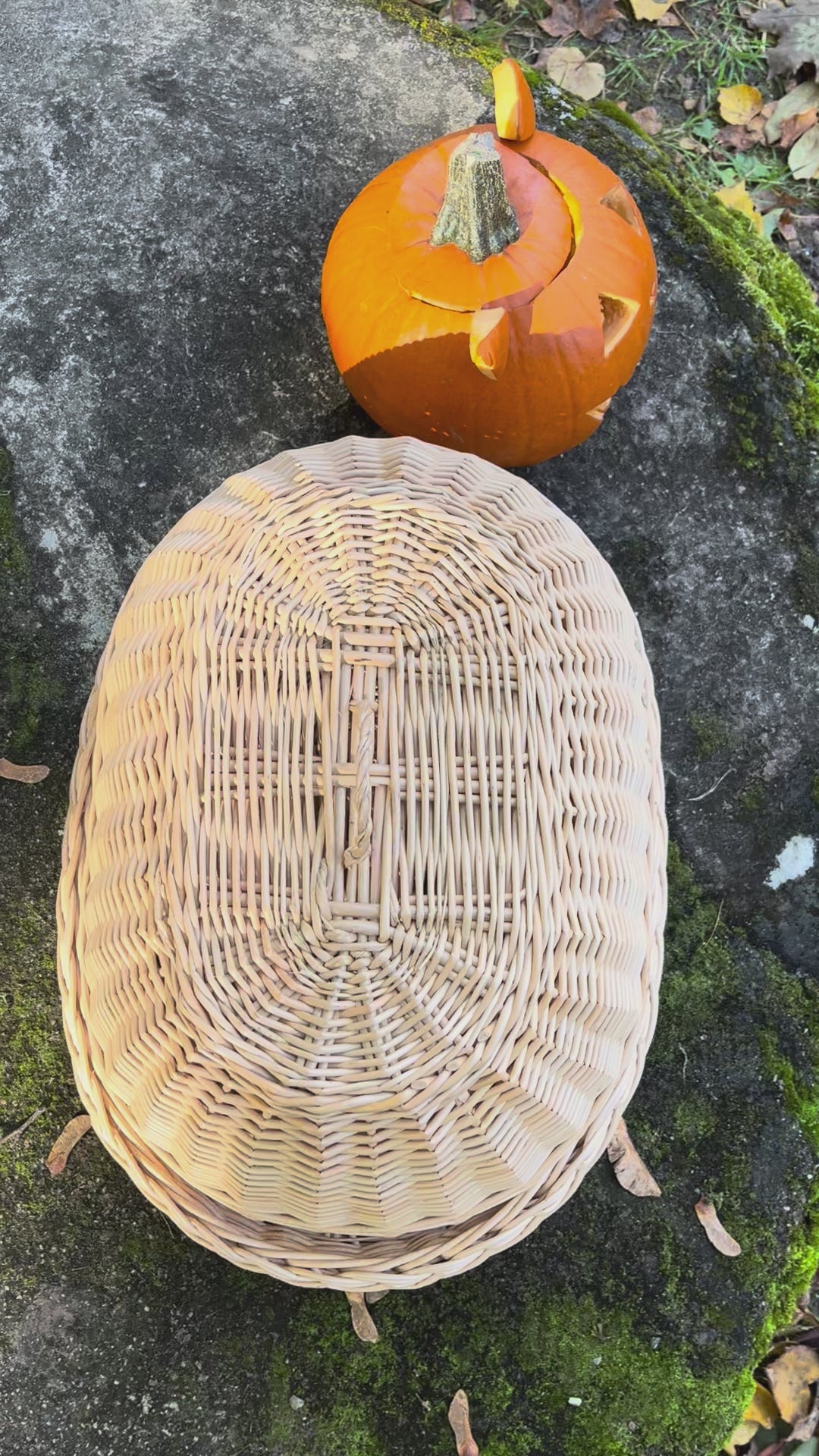 Wicker tray with lid 038b