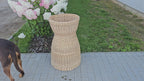 Display Basket 001r