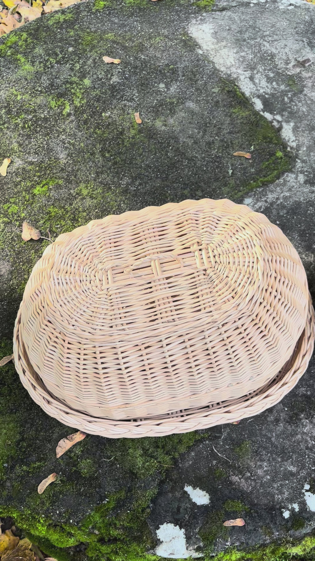 Wicker tray with lid 038b