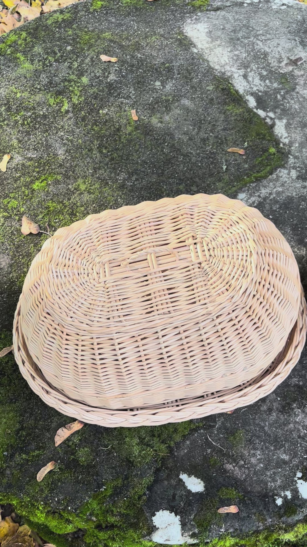 Wicker tray with lid 038b