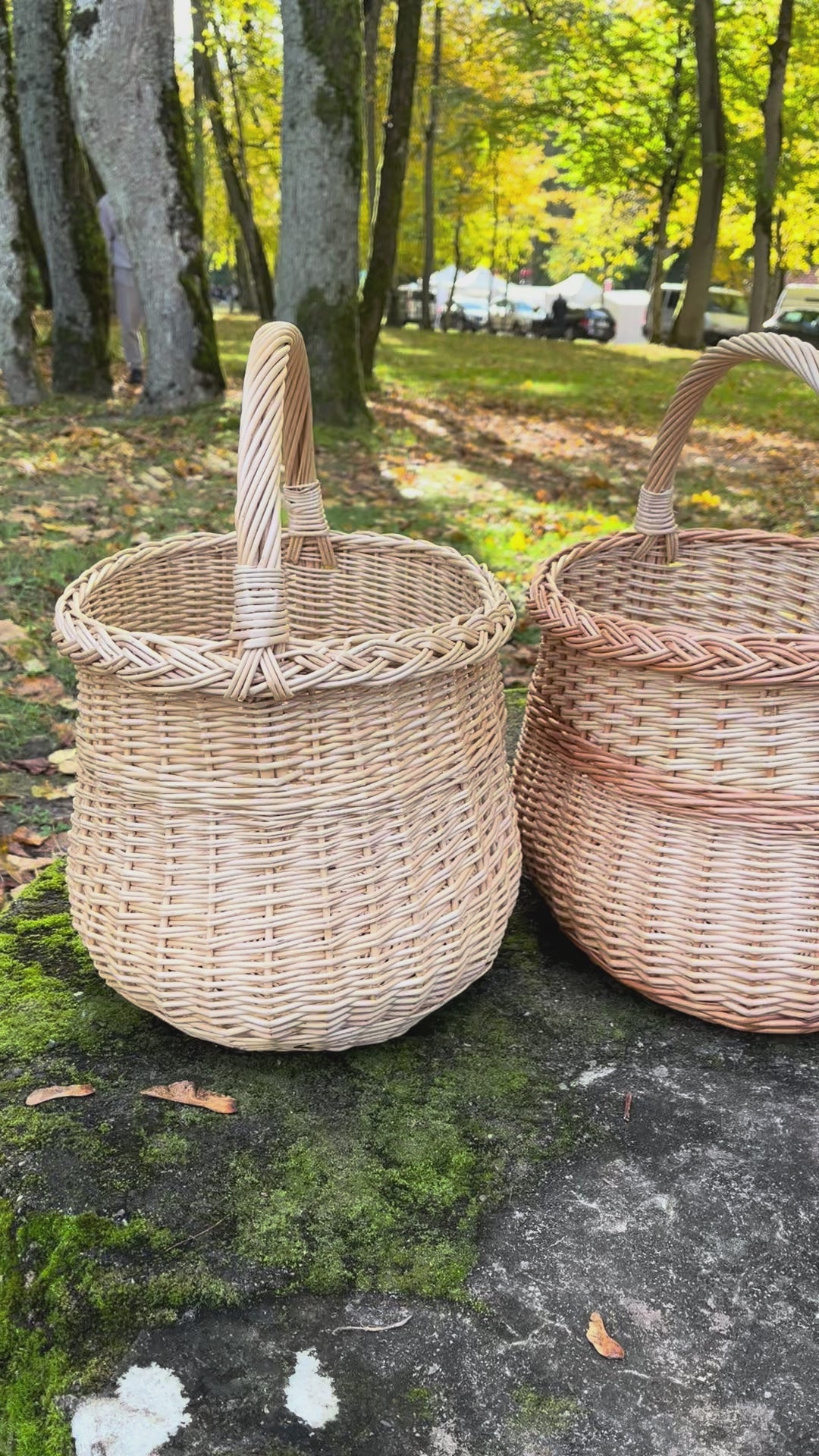 Wicker basket 046b