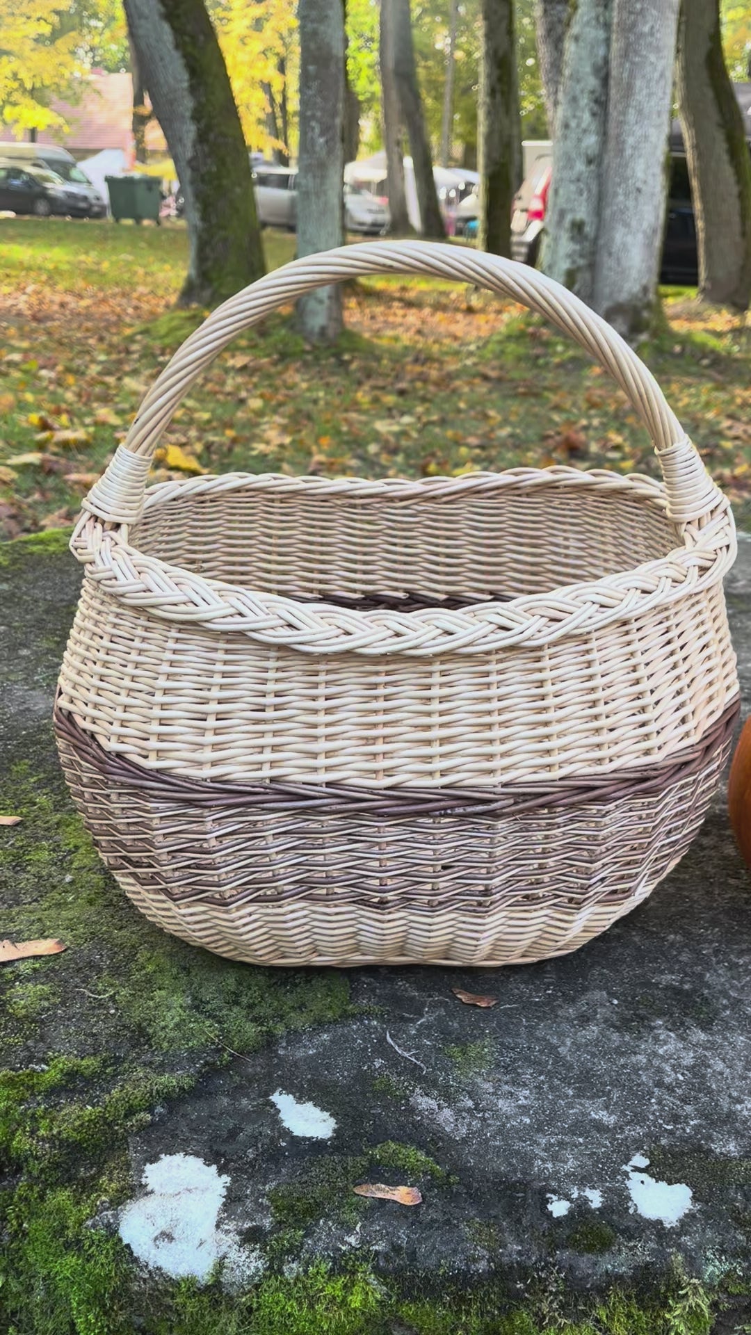 Wicker basket 039b