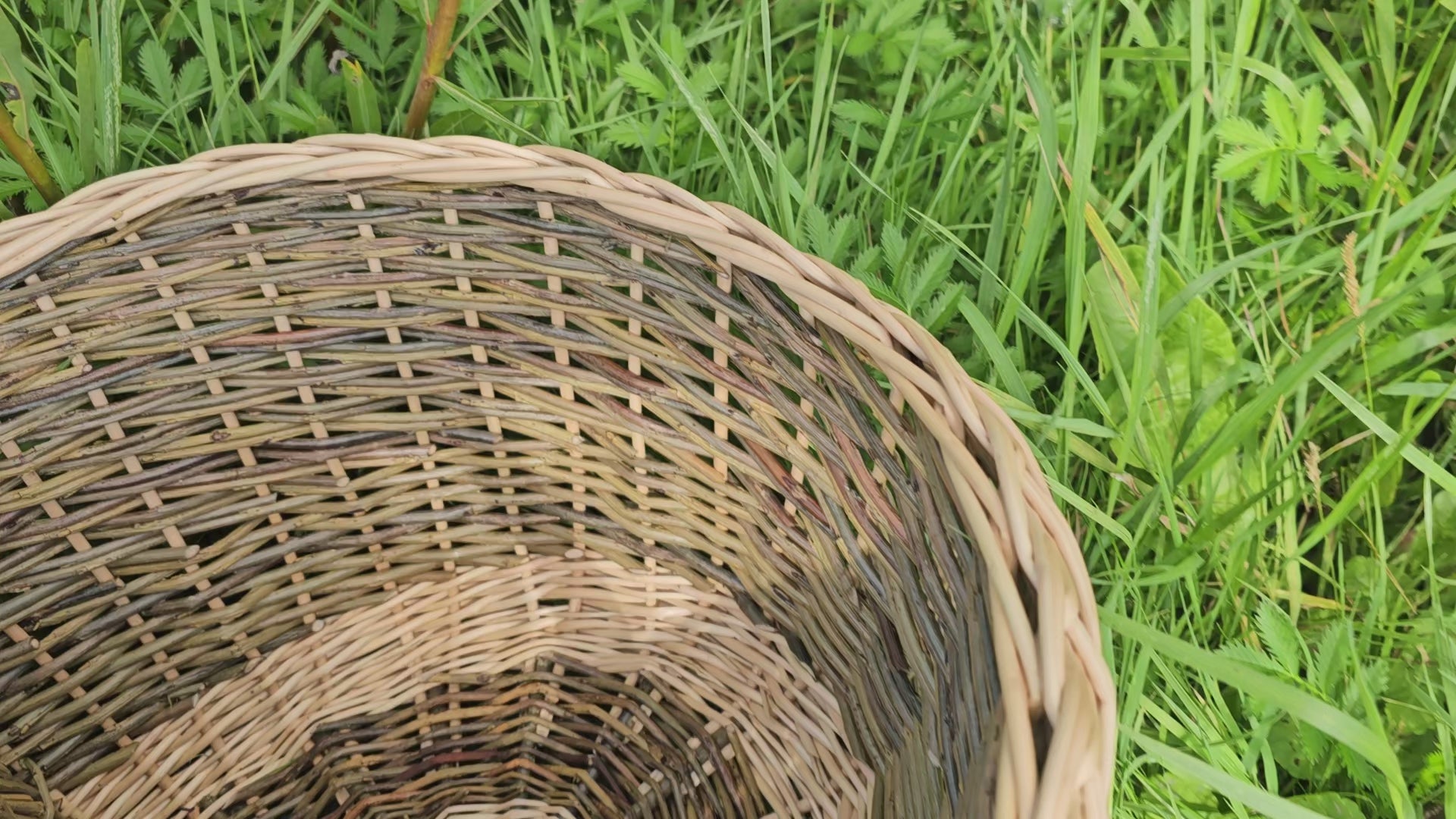 Wicker Picnic Basket with Divider
