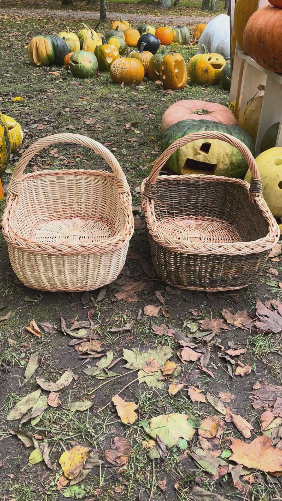 Wicker basket 053b