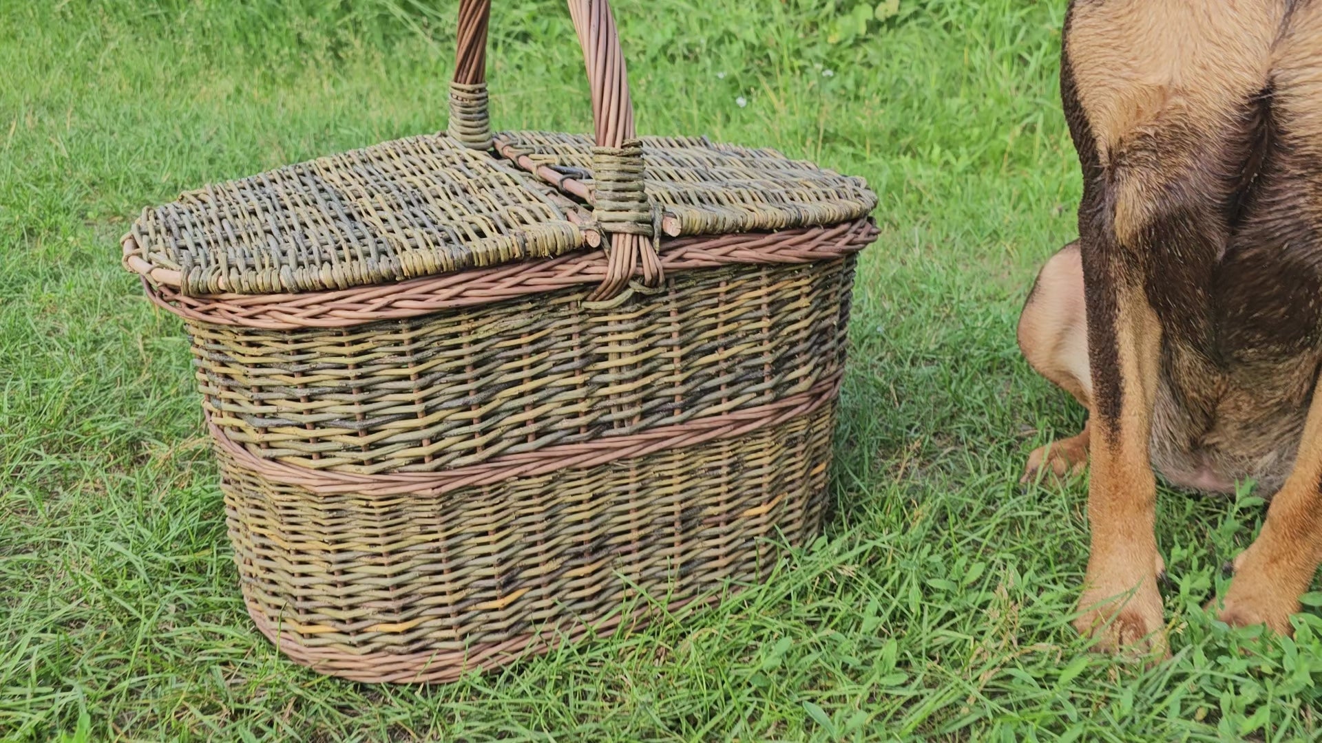 Dark picnic basket 011b
