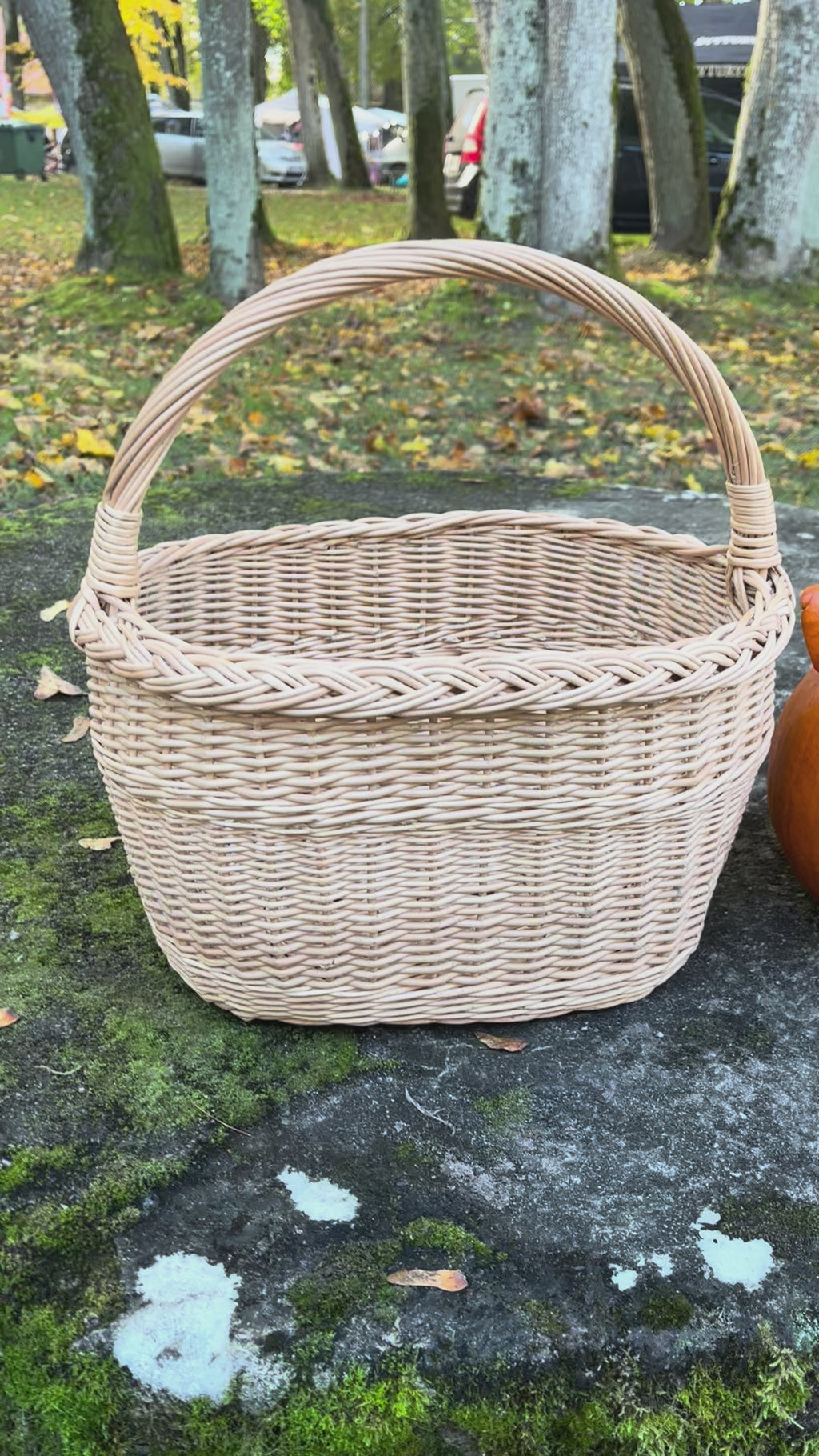 Wicker basket 026b