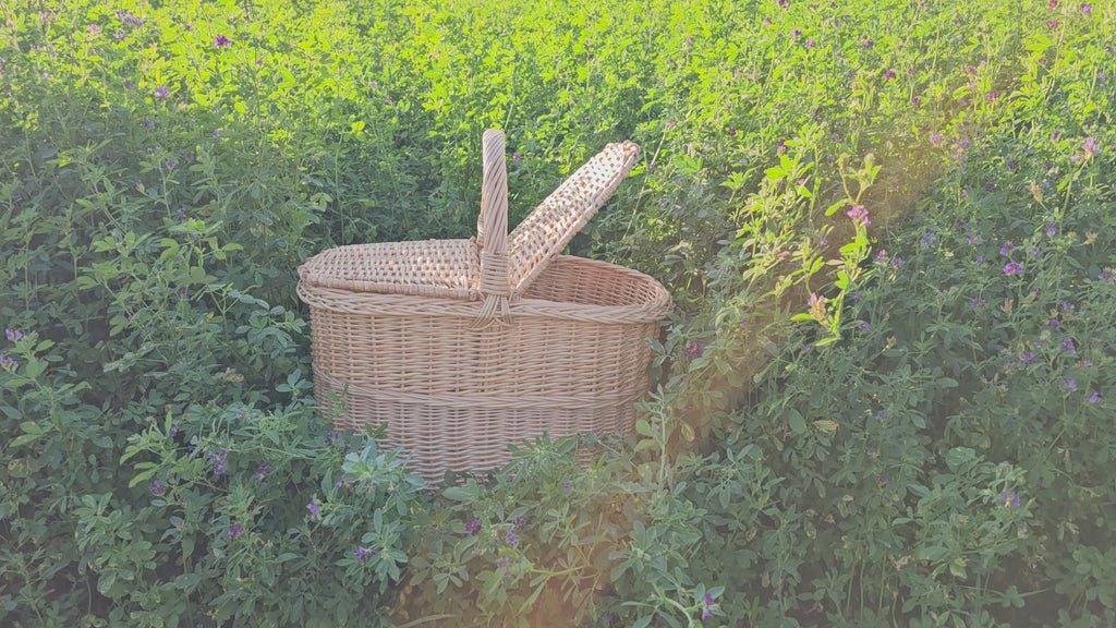 Picnic basket 011b