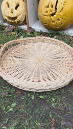 Wicker tray 025b