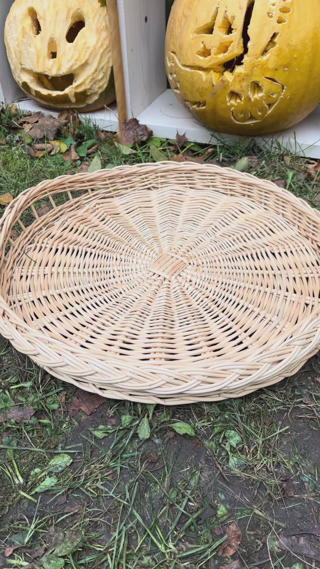 Wicker tray 025b