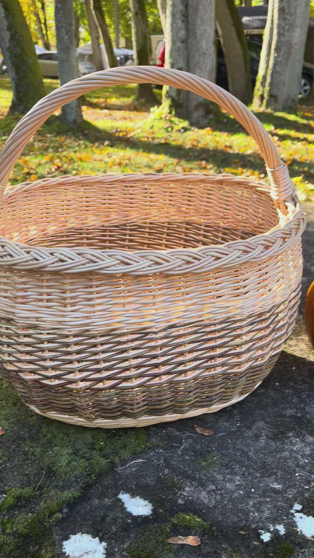 Wicker basket 050b