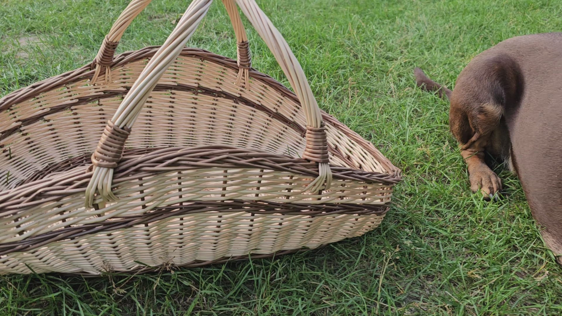 Large Wicker Basket 027b-4