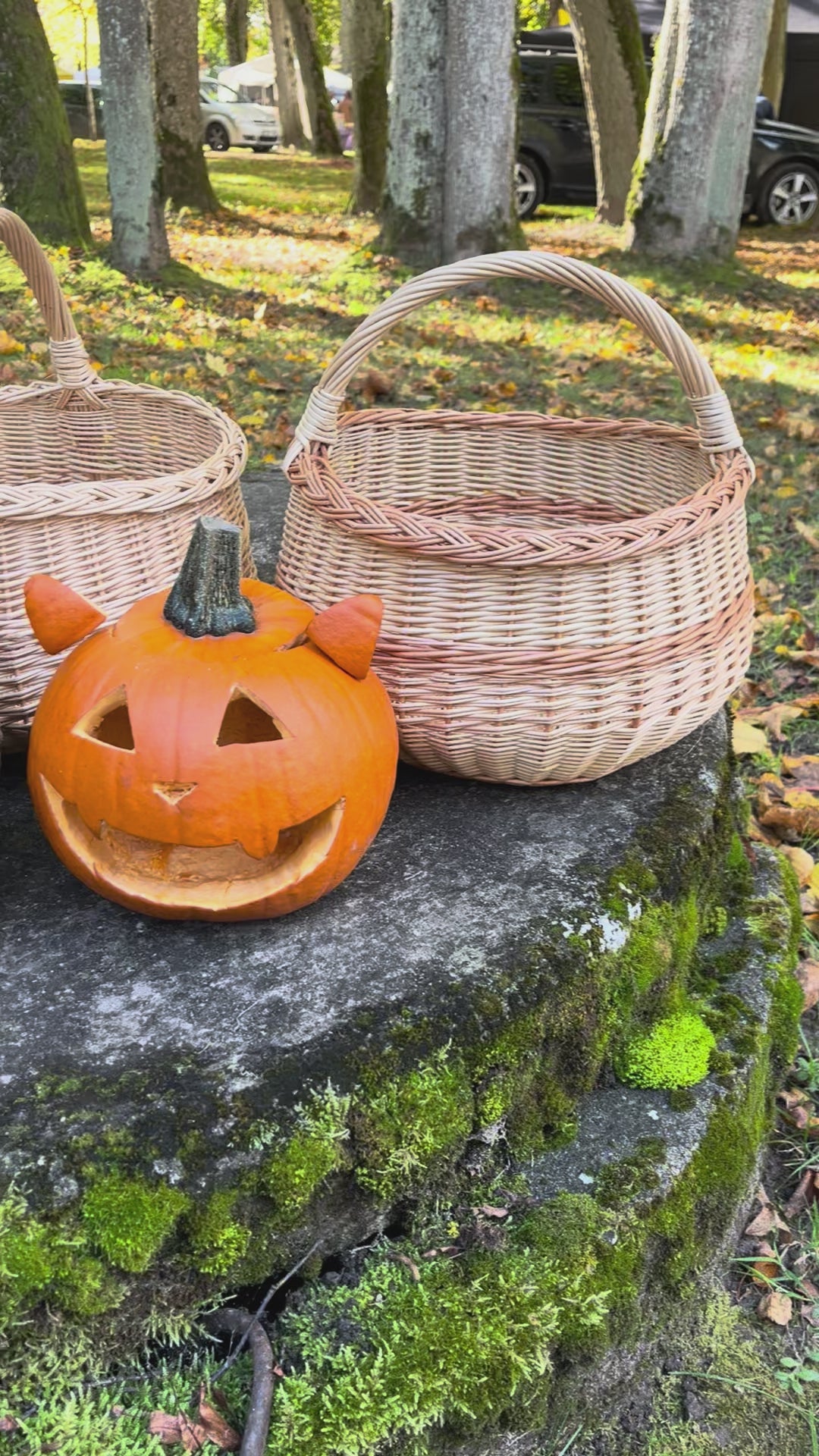Wicker basket 006b