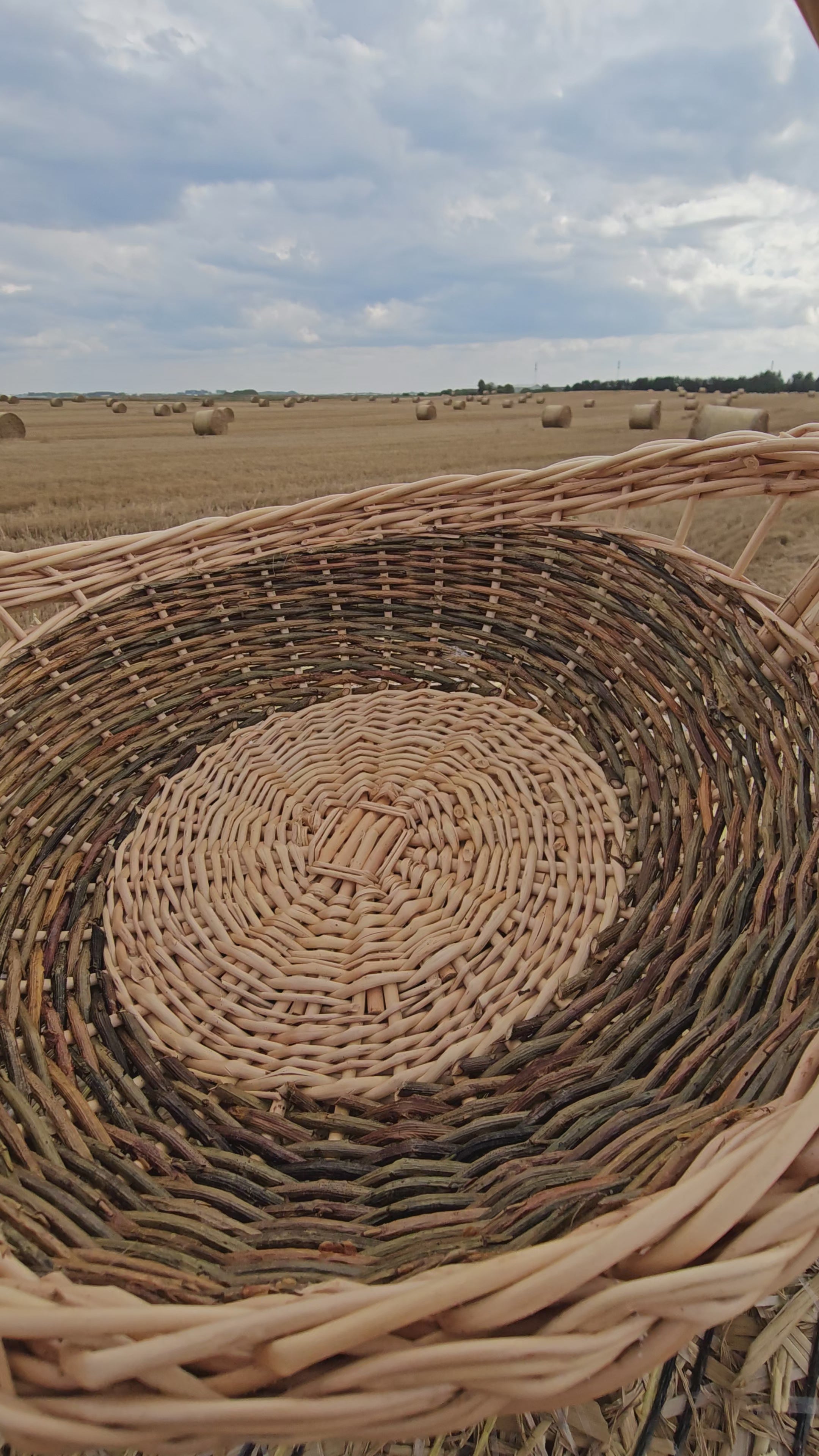 Wicker tray 024b