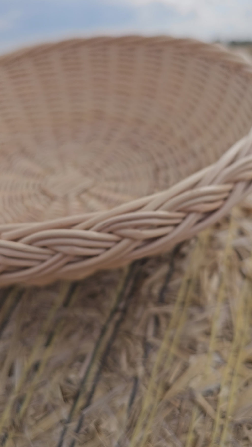 Wicker plate 044b
