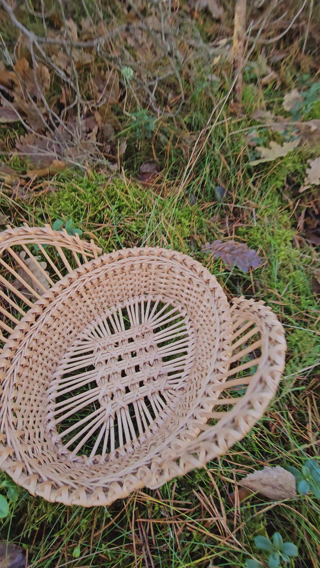 Wicker tray 037r