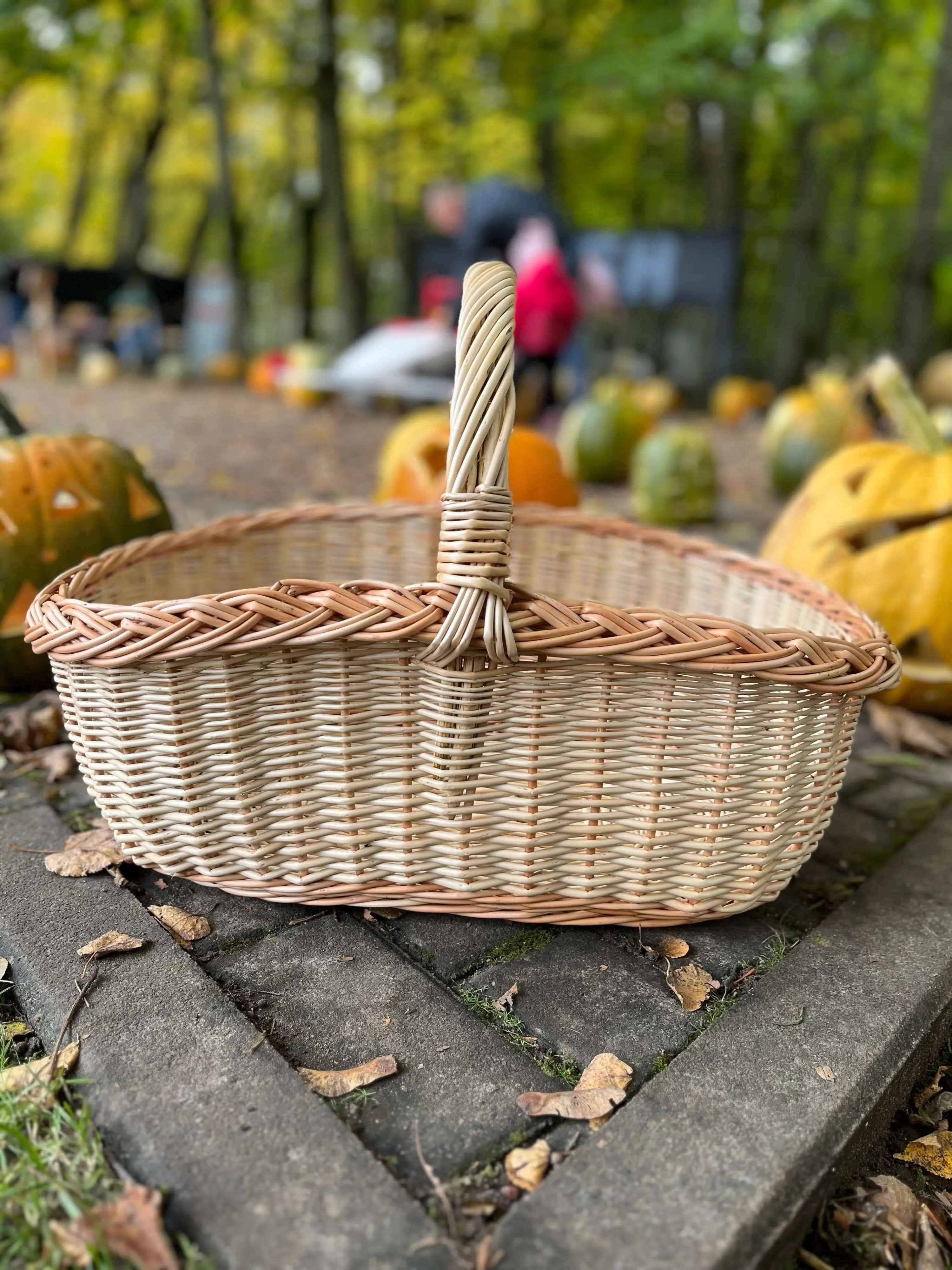 Wicker basket 053b - NaturelyWoven wicker - handmade