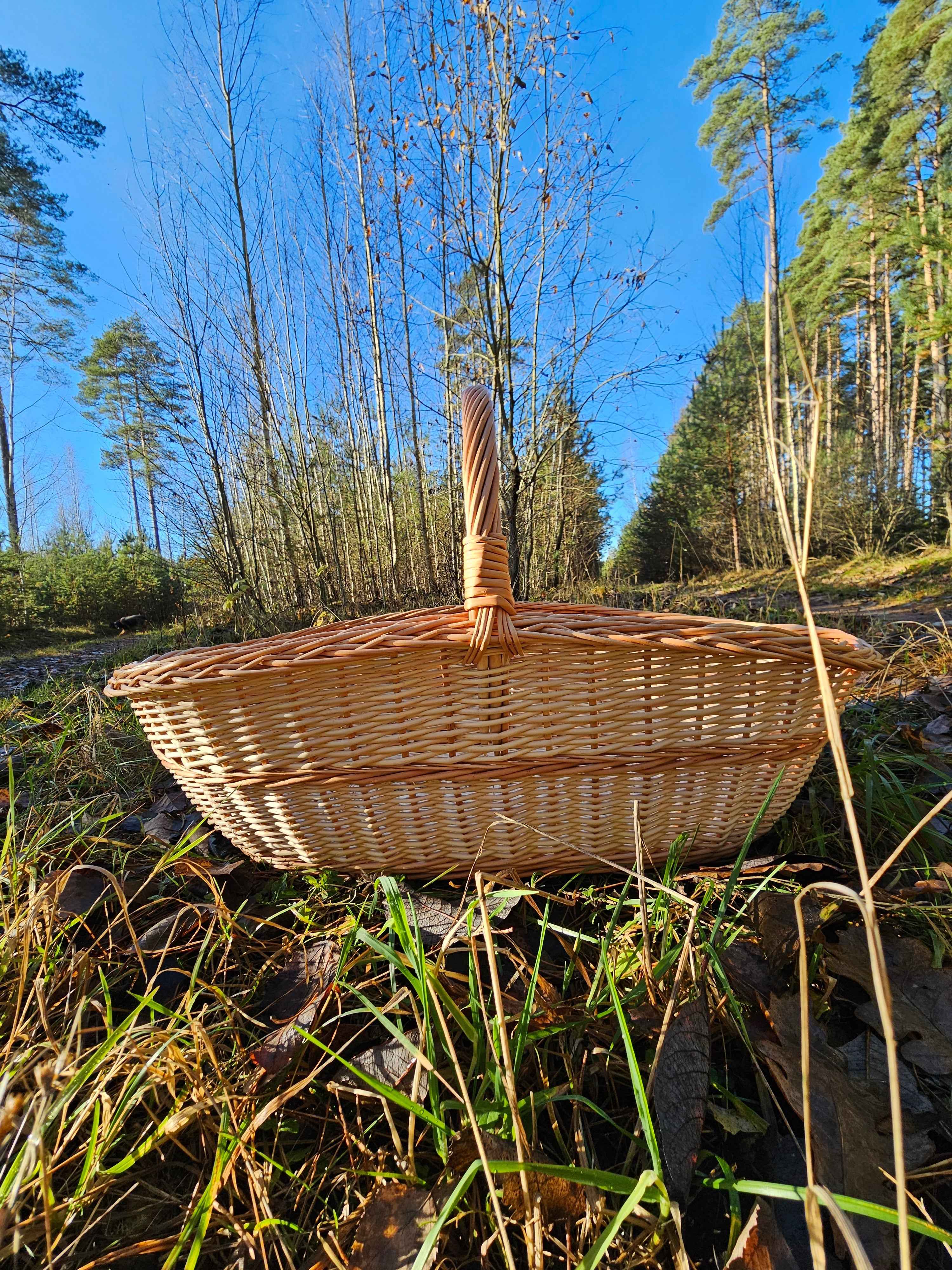 Rose-Rim Willow Trug — wicker basket, view 5